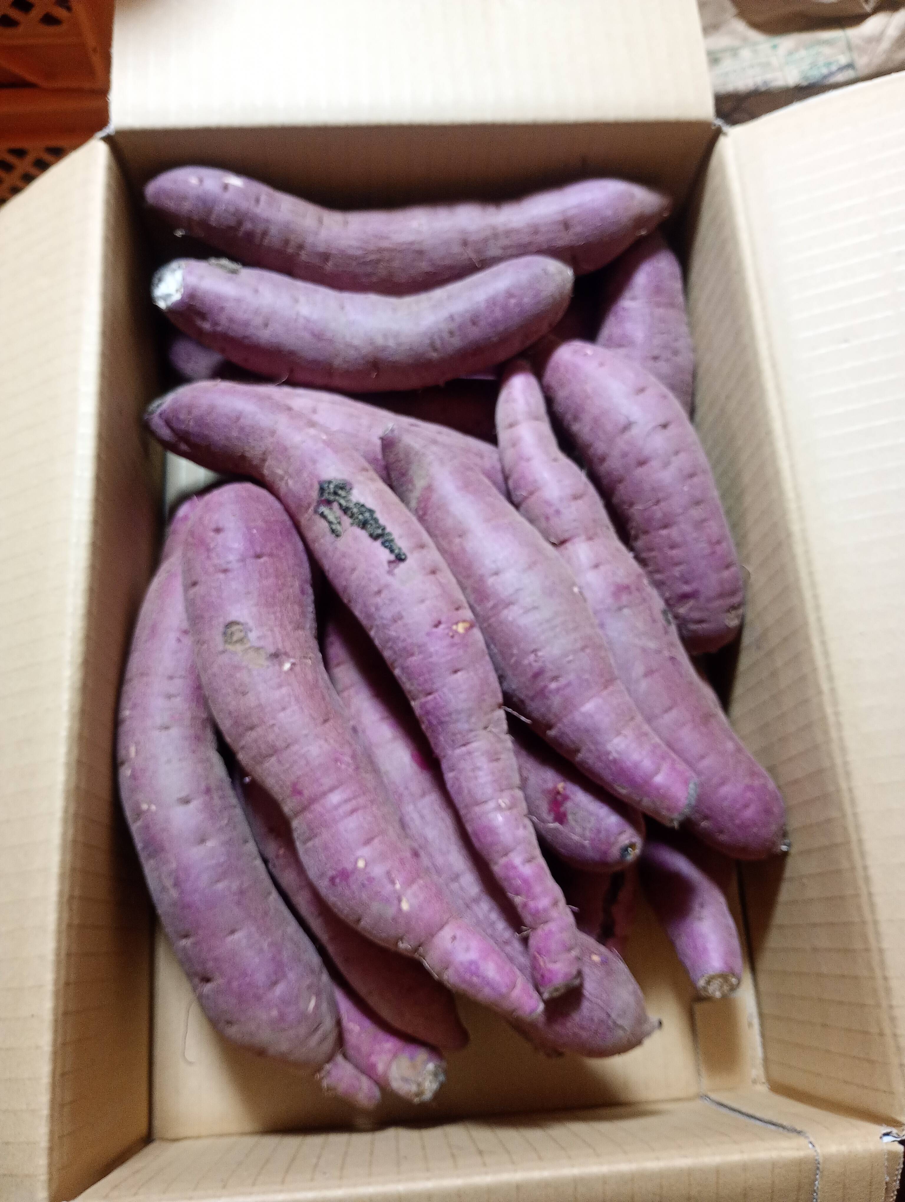 自宅用】 里山ファームの紅はるか Mサイズ（200g〜350g） 5kg：茨城