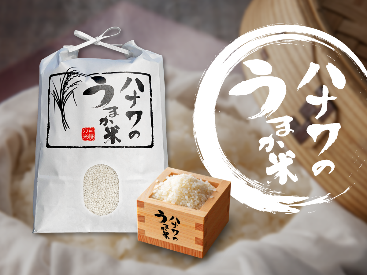楽天市場】【新米予約 6年産】餅米 もち米 5kg 10kg 20kg 送料