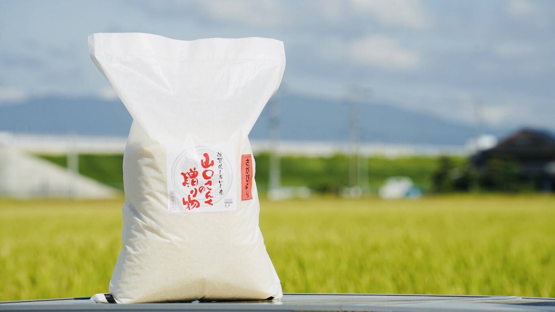 令和7年度】特別栽培米『さがびより』ふっくら艶々！白米10kg（5kg×2