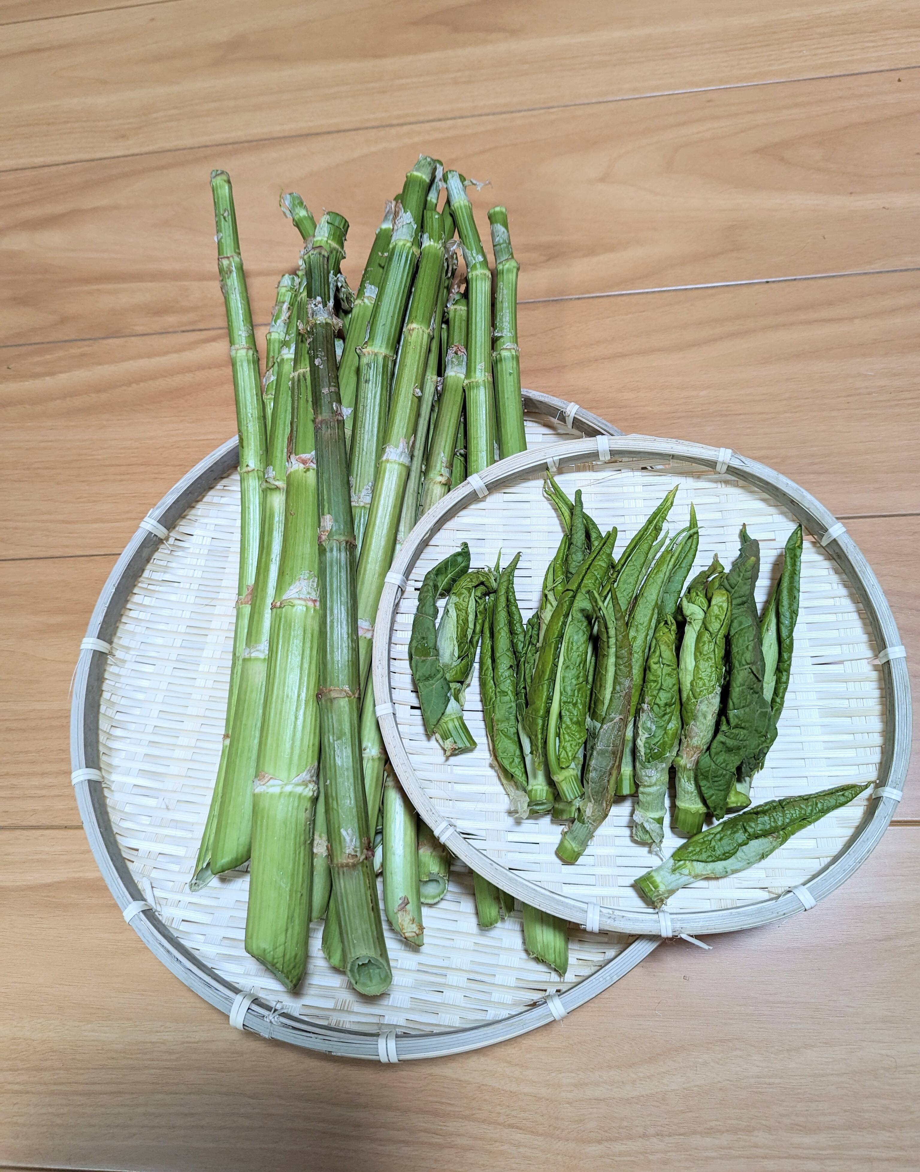 先行予約❮天然山菜❯ いたどり 1.8キロ