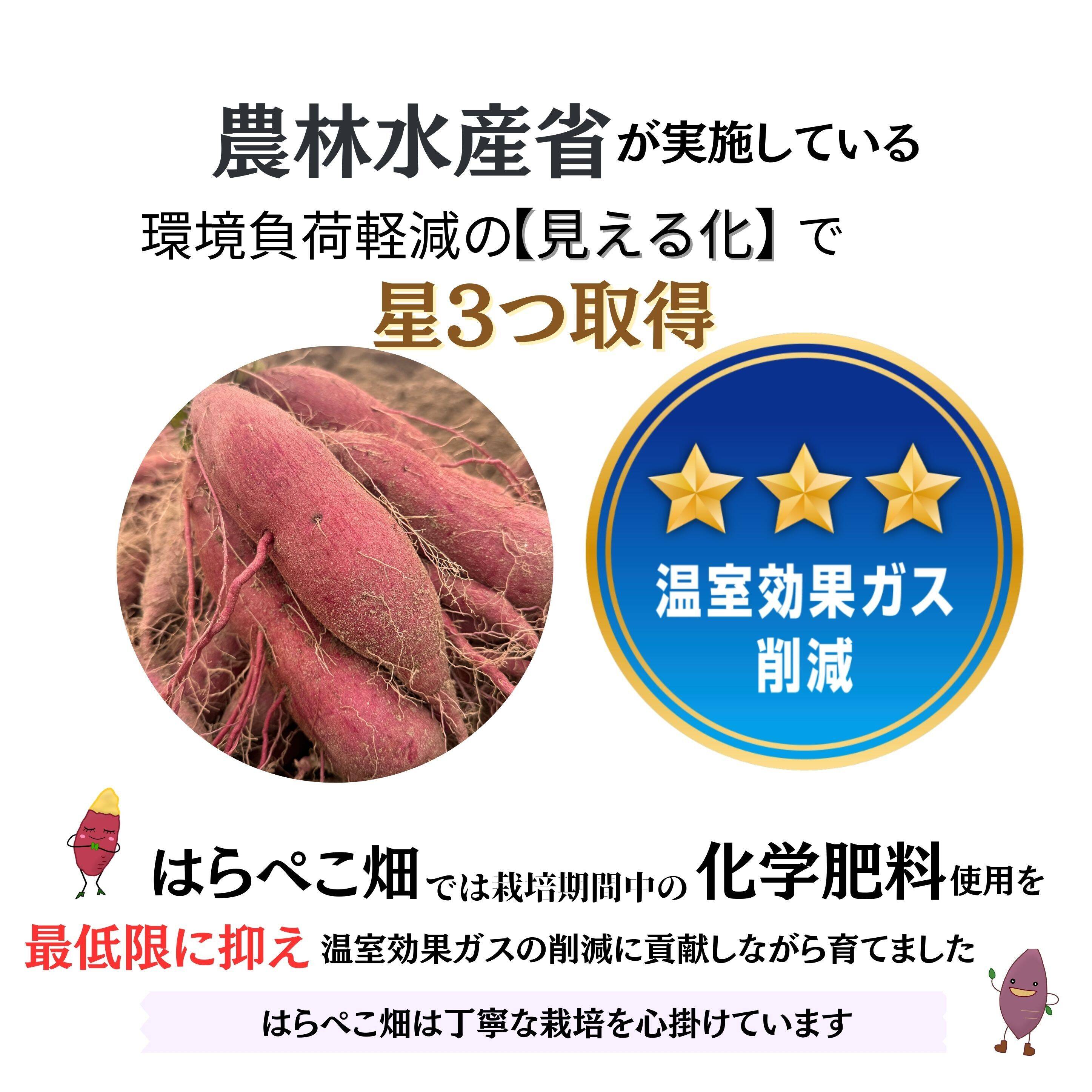 さつまいもについてのご報告｜食べチョク｜産地直送(産直)お取り寄せ 