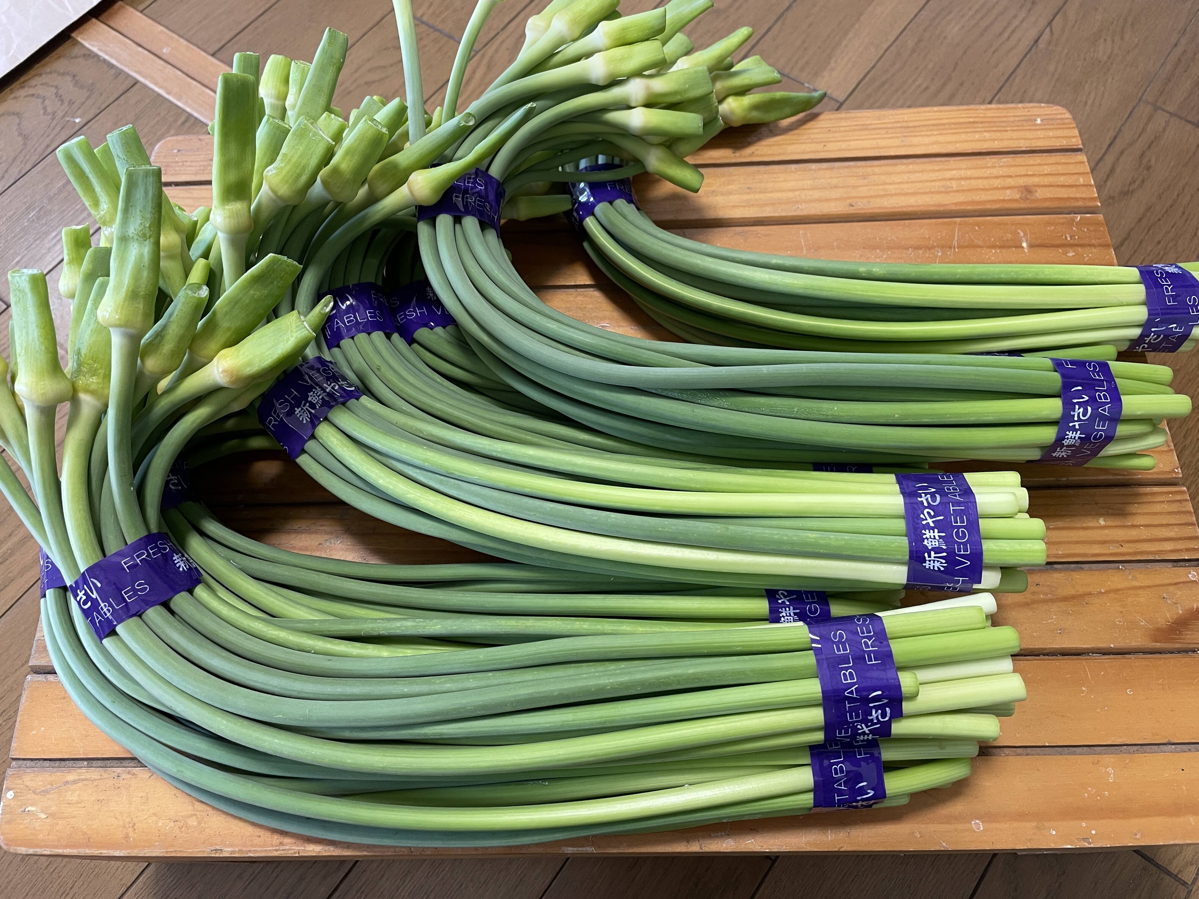 期間限定】今が旬！にんにくの芽 500g（250g×2）：大分県産のその他 