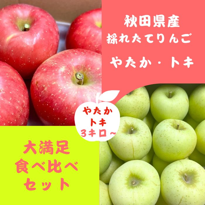 りんご食べ比べセット】トキ やたか りんご 3kg 採れたて直送 リンゴ