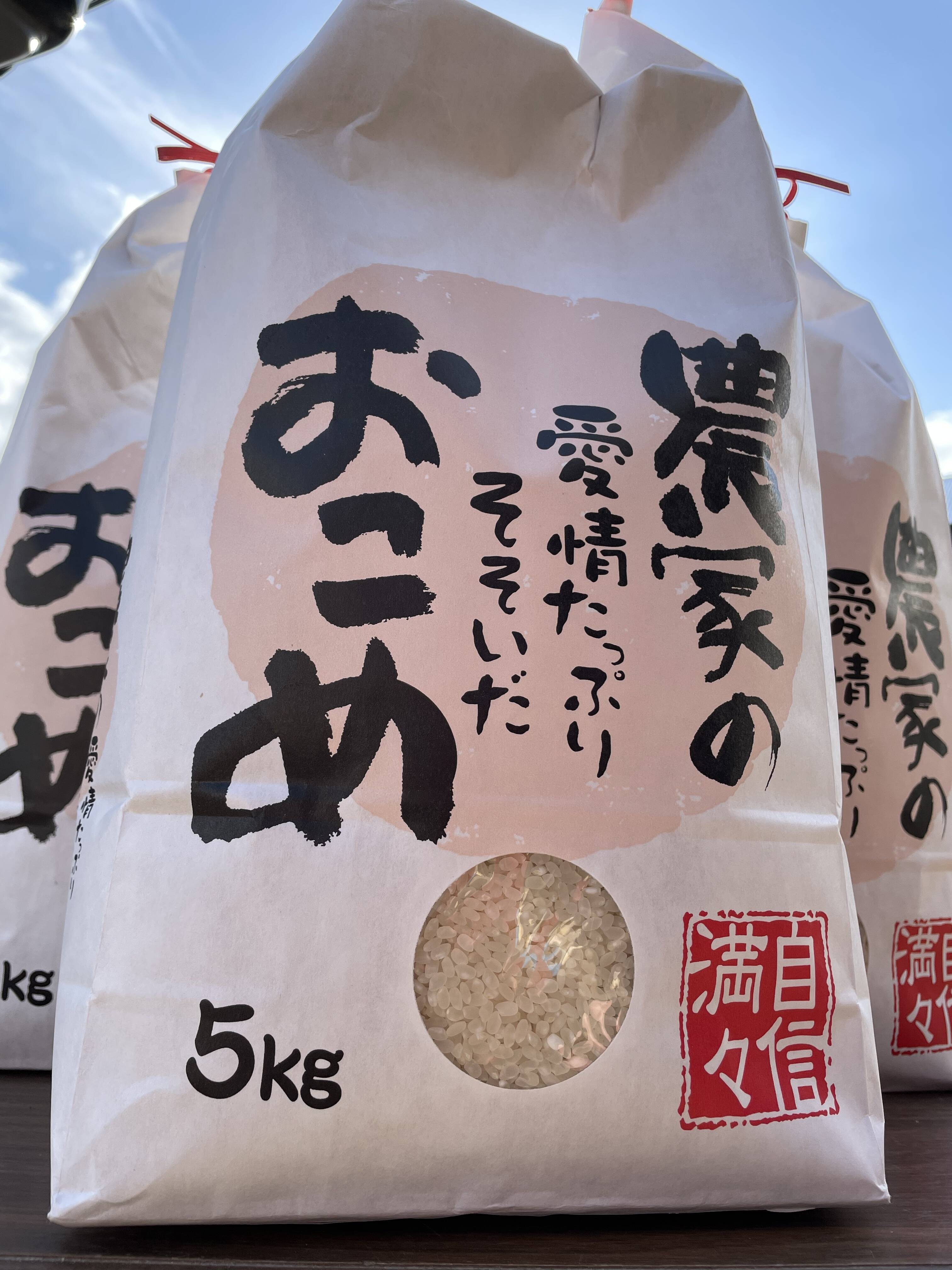 定番品種】北海道米ななつぼし白米(5キロ)：北海道産のお米｜食べ