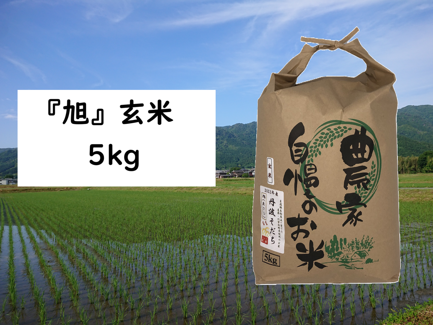 数量限定・2025年産】自然栽培のお米『旭（あさひ）』玄米5㎏：兵庫県