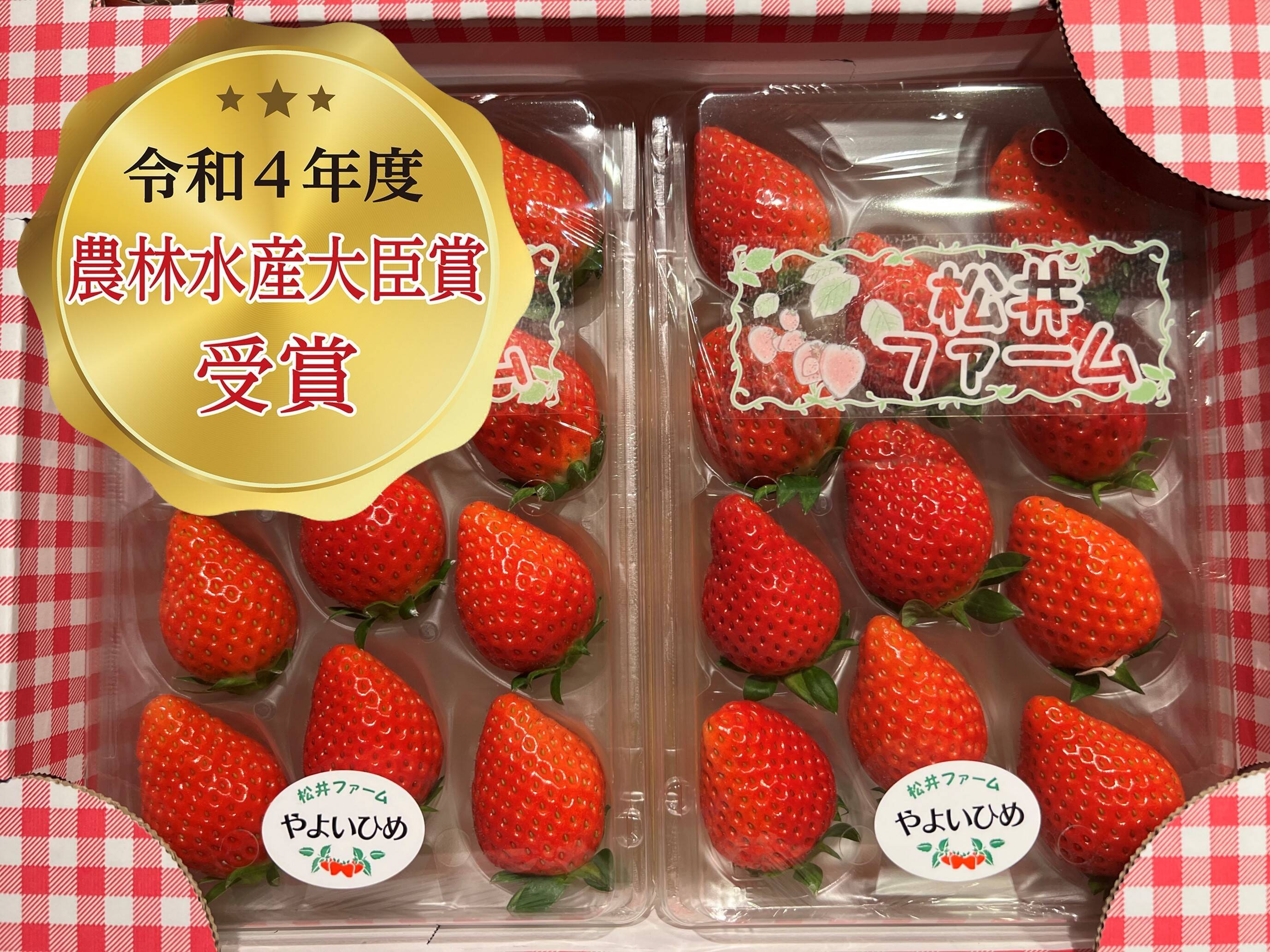 令和4年度 農林水産大臣賞受賞！『やよいひめ』ご家庭用 計2パック（約