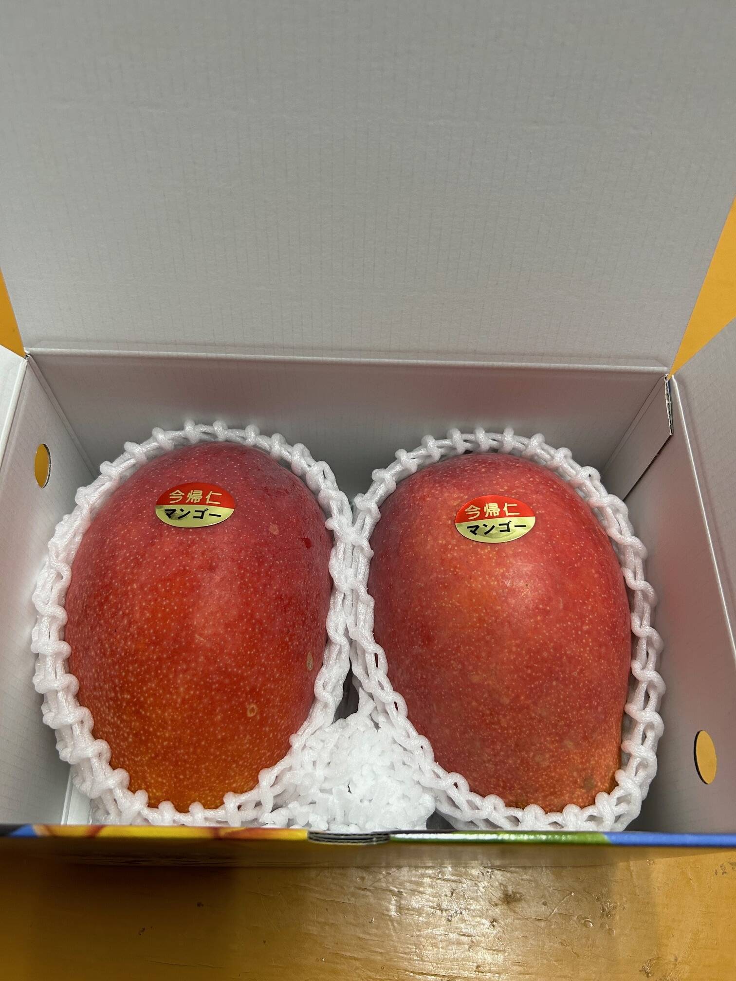 ☆数量限定☆沖縄県産 完熟マンゴー1kg（2~3玉）！：沖縄県産の