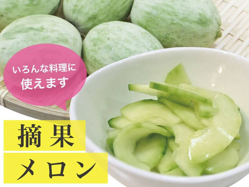 季節限定！どんなお料理にも使いやすい食材「子メロン」摘果メロン 約