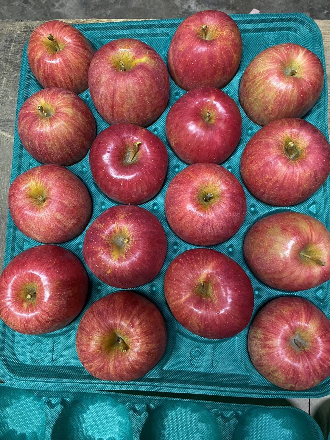 果汁たっぷり！特別栽培りんご『ハックナイン』A品・5㎏：青森県産の