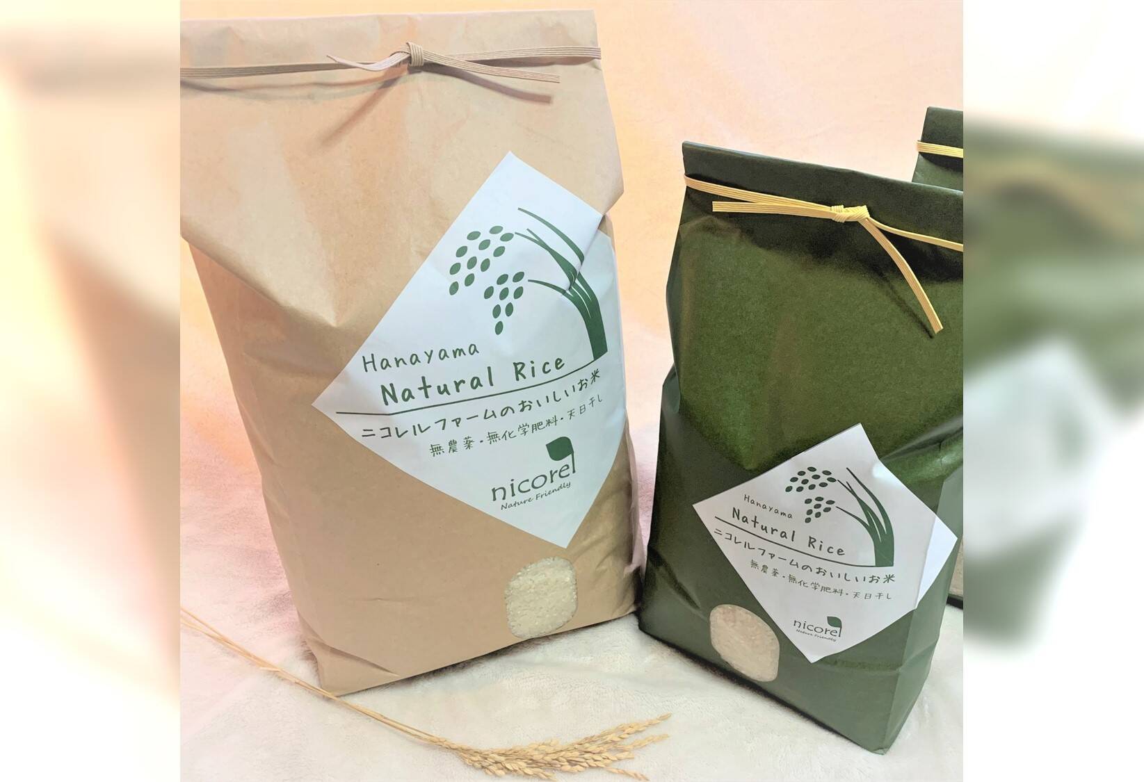 ☆玄米☆ 5kg 農薬化学肥料不使用・自然乾燥のお米【令和7年11月収穫