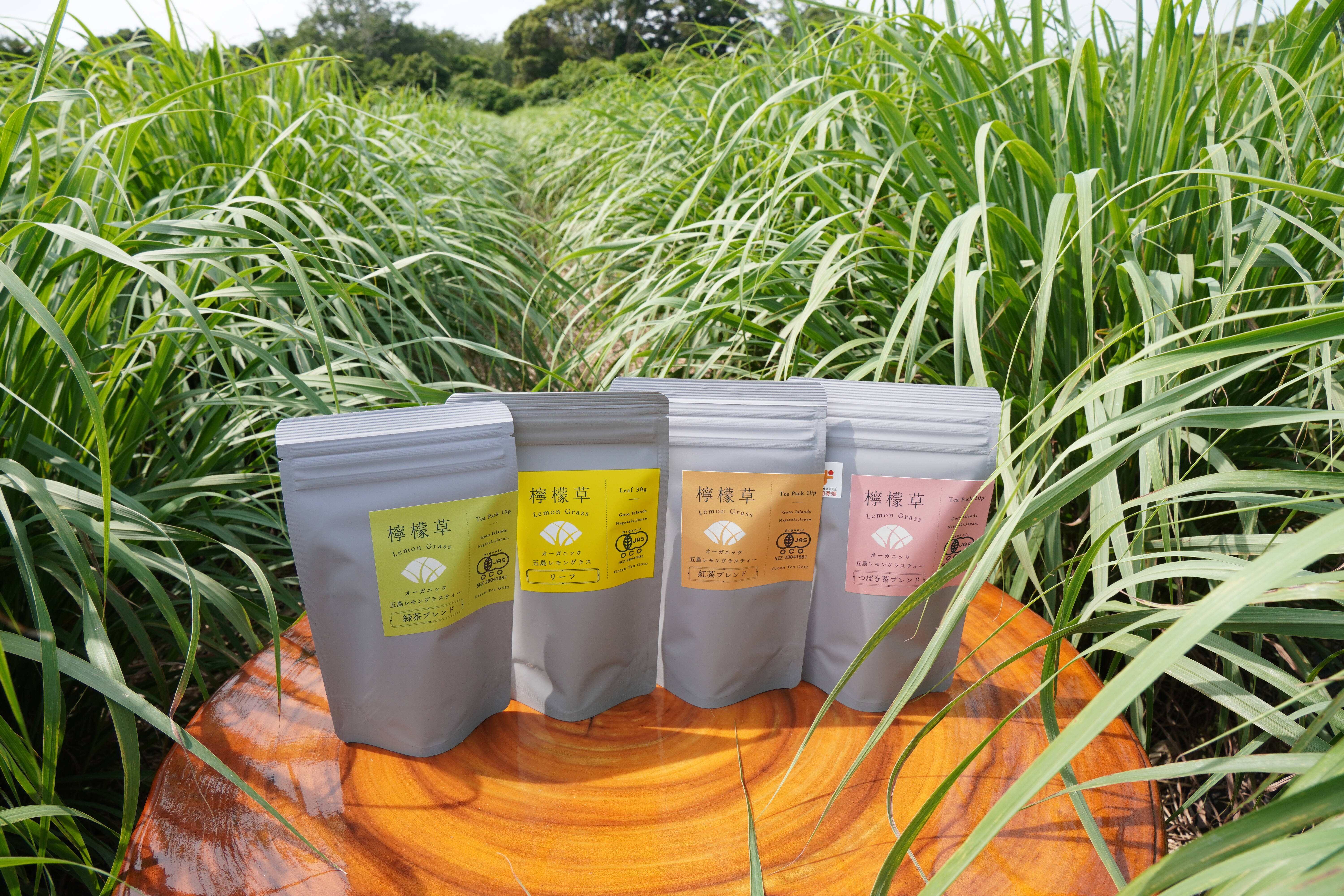 78bce3a6ac135646169a04cd568bed