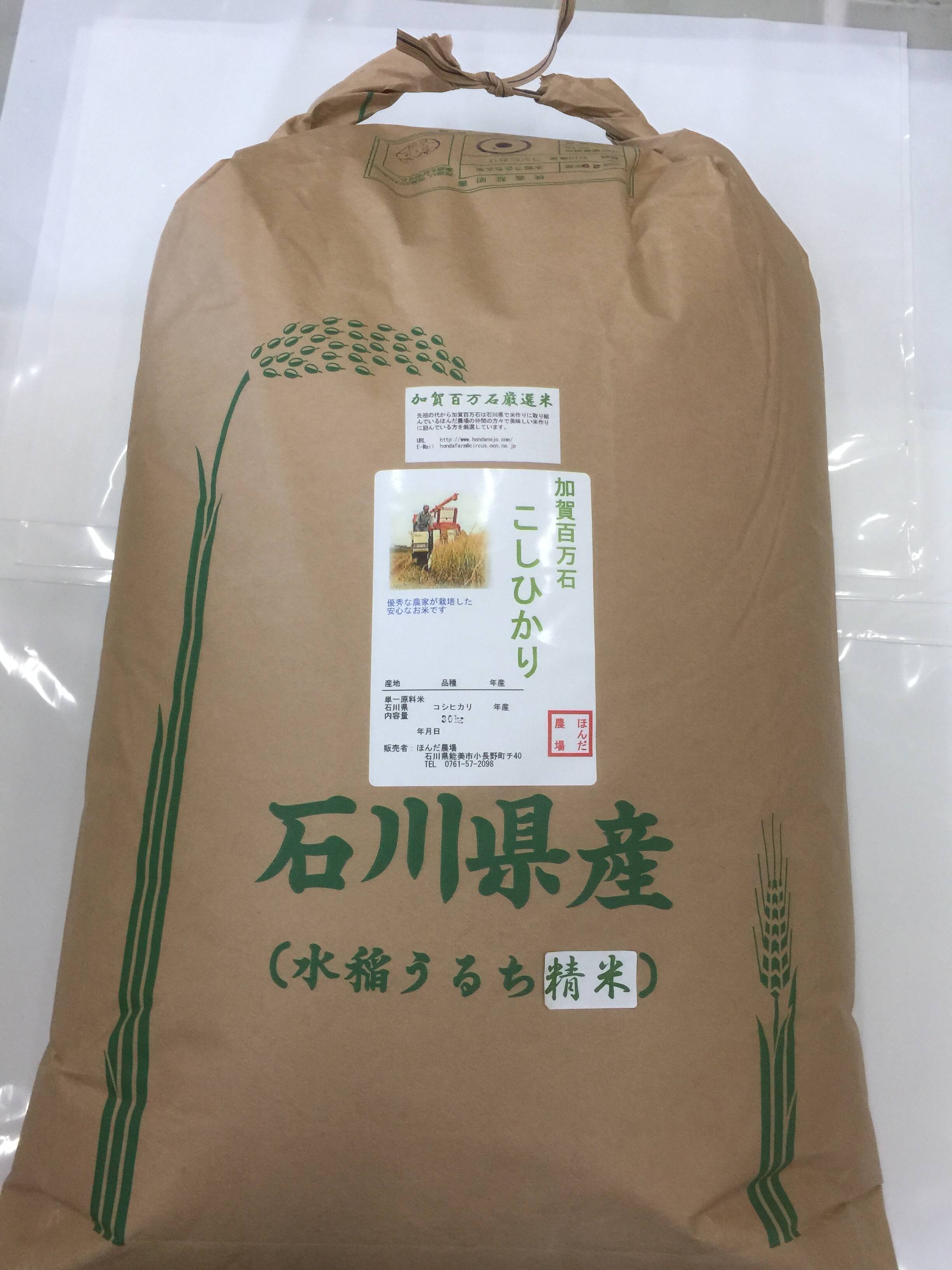 令和5年産 石川県産 厳選コシヒカリ 白米 30kg:石川県産のお米 令和5年産 石川県産 厳選コシヒカリ 白米 30kg:石川県産のお米