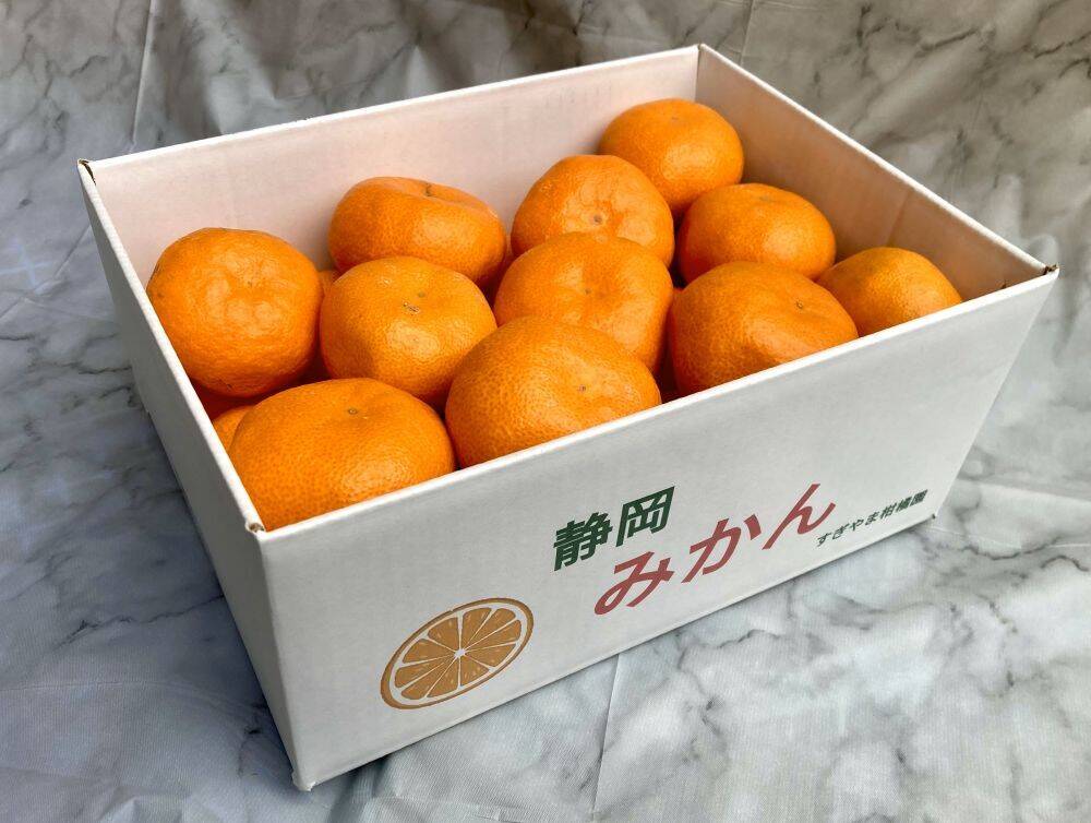 貯蔵熟成】甘い静岡県産 青島みかん2.5㎏ 静岡県より産地直送