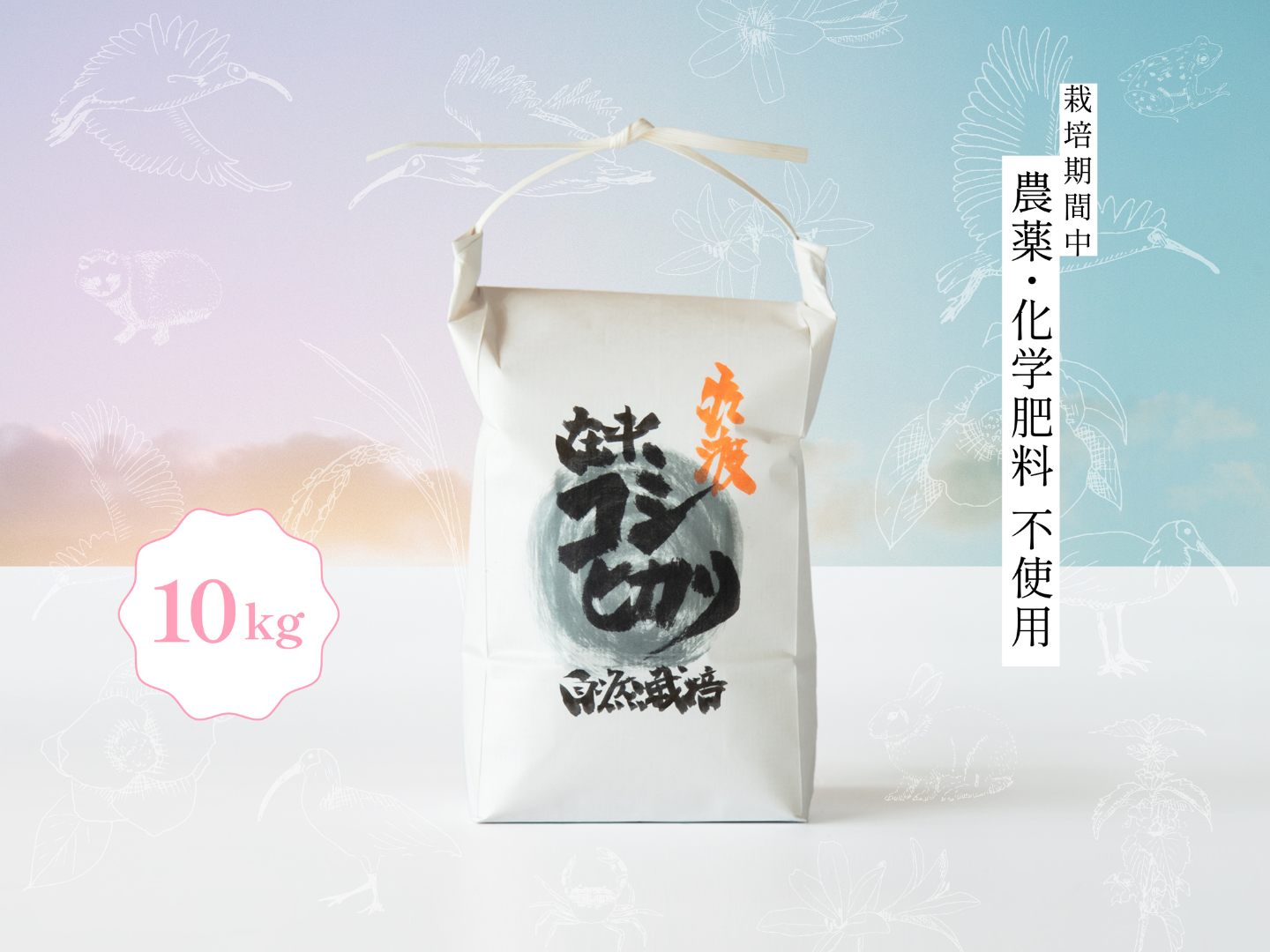 令和7年新米】潮風香る田んぼでトキと育った新潟県佐渡産 自然栽培『在