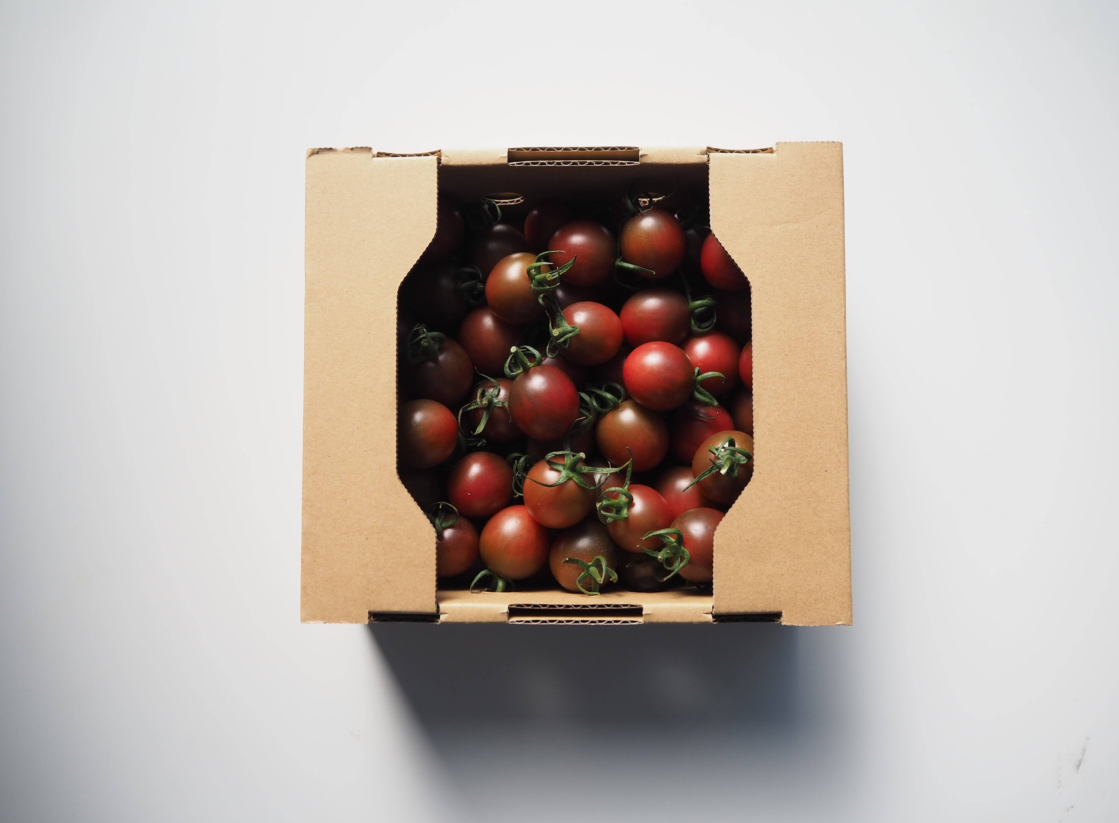 とまと様 35K 紫色ミニトマト 1kg【ブドウようなトマト】熊本県産：ギフトメッセージ