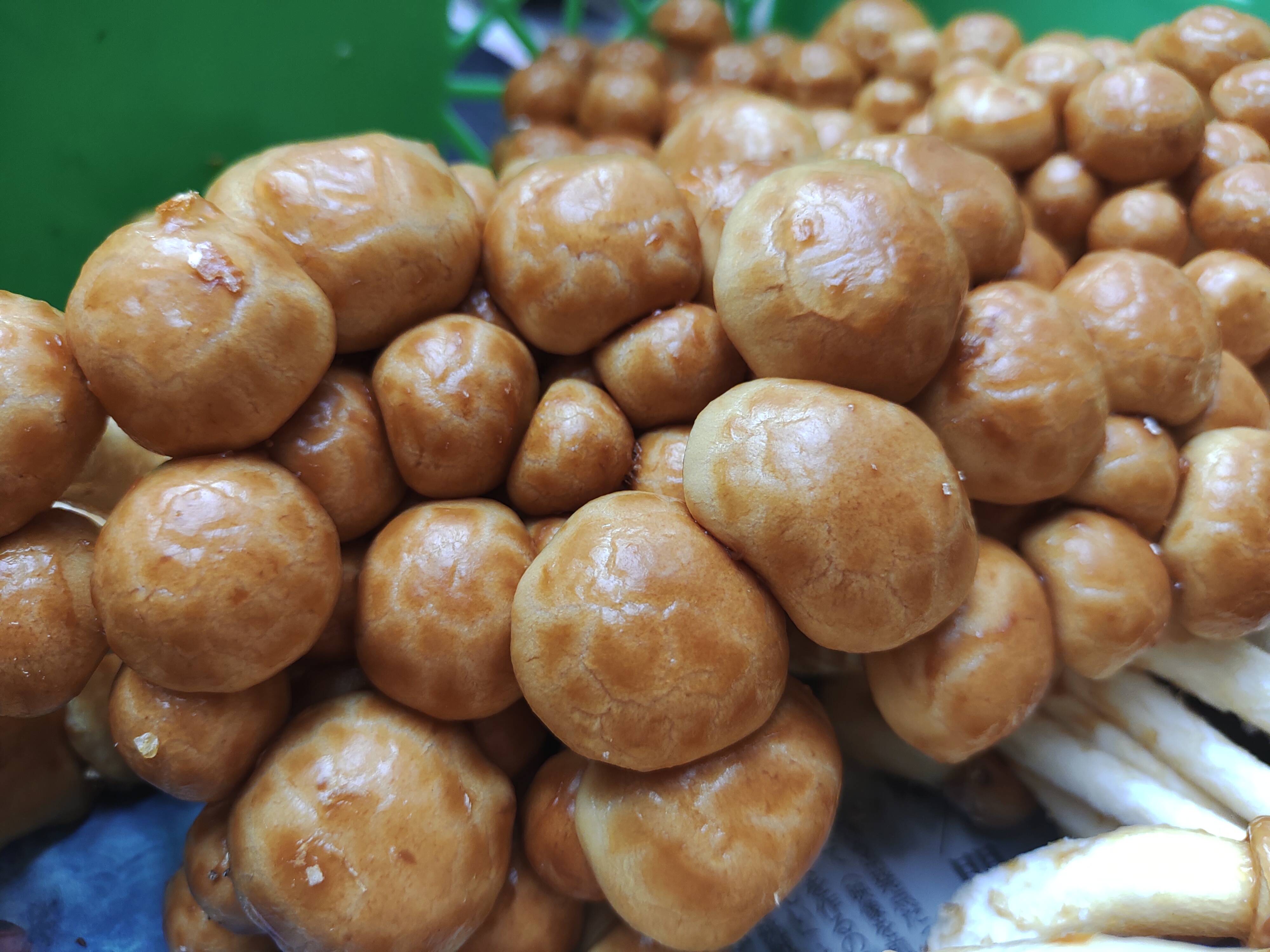 7926472afc09e48a2cc7c3e503507d