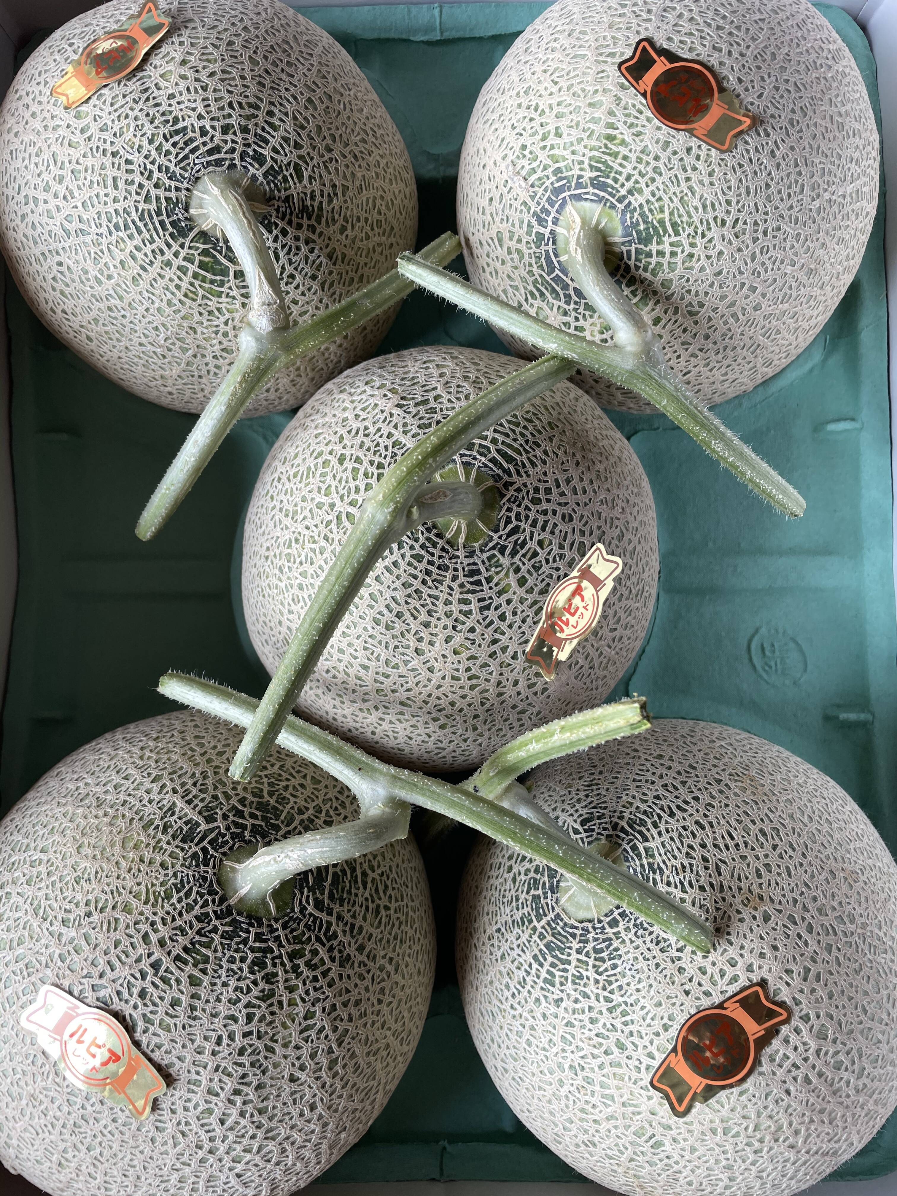 夏ギフト】鮮やかなオレンジに育った北海道の赤肉メロン（8キロ