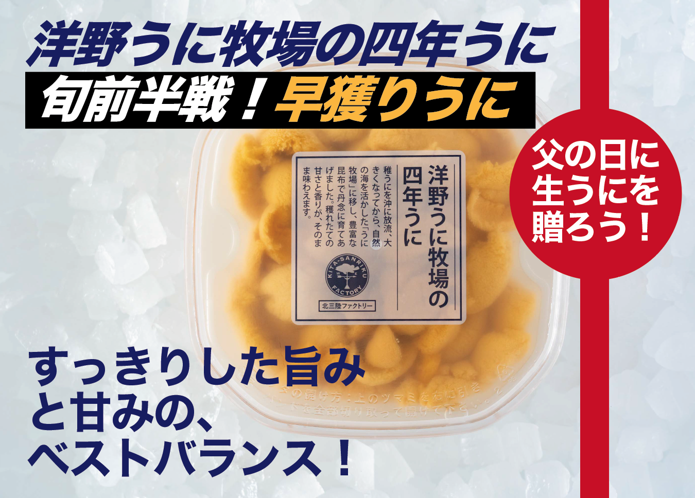 父の日ギフト 洋野うに牧場の四年うに 塩水パック 100g 1パック 岩手県産 食べチョク 農家 漁師の産直ネット通販 旬の食材を生産者直送