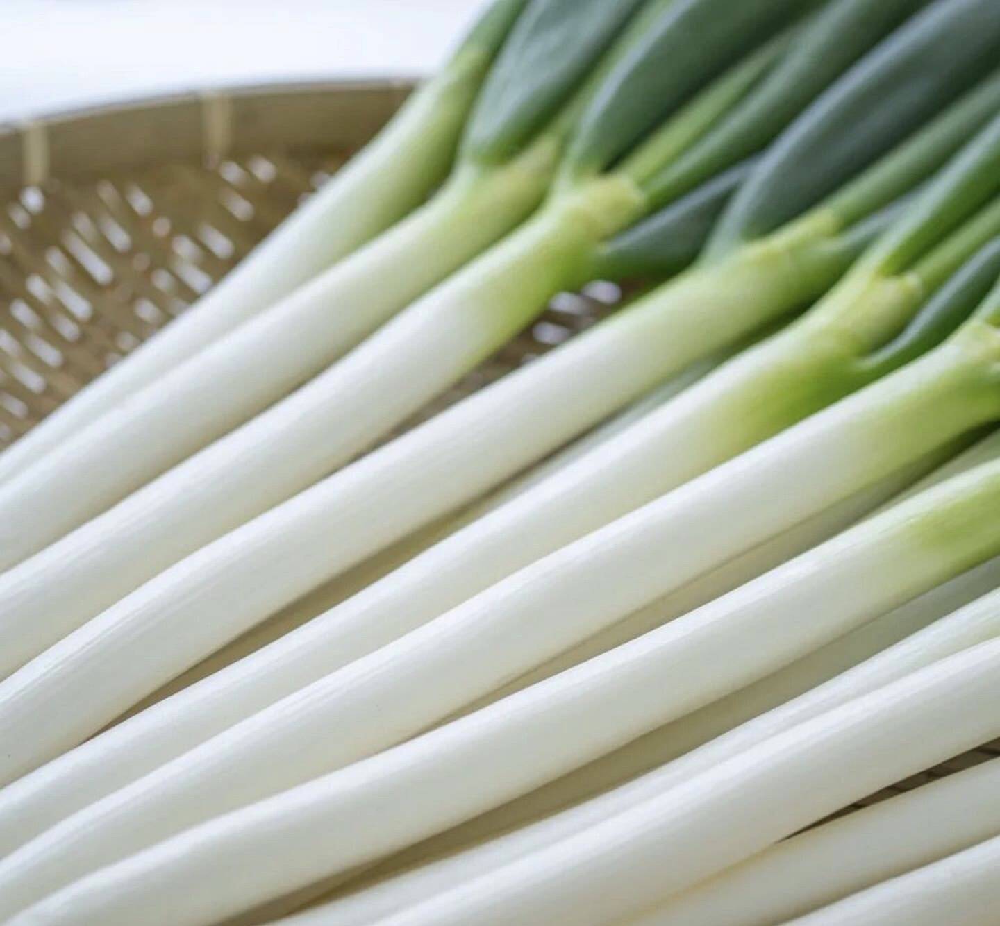 白ネギ」とろ〜り柔らか♡甘さある長ネギ～カットネギこだわりの果物