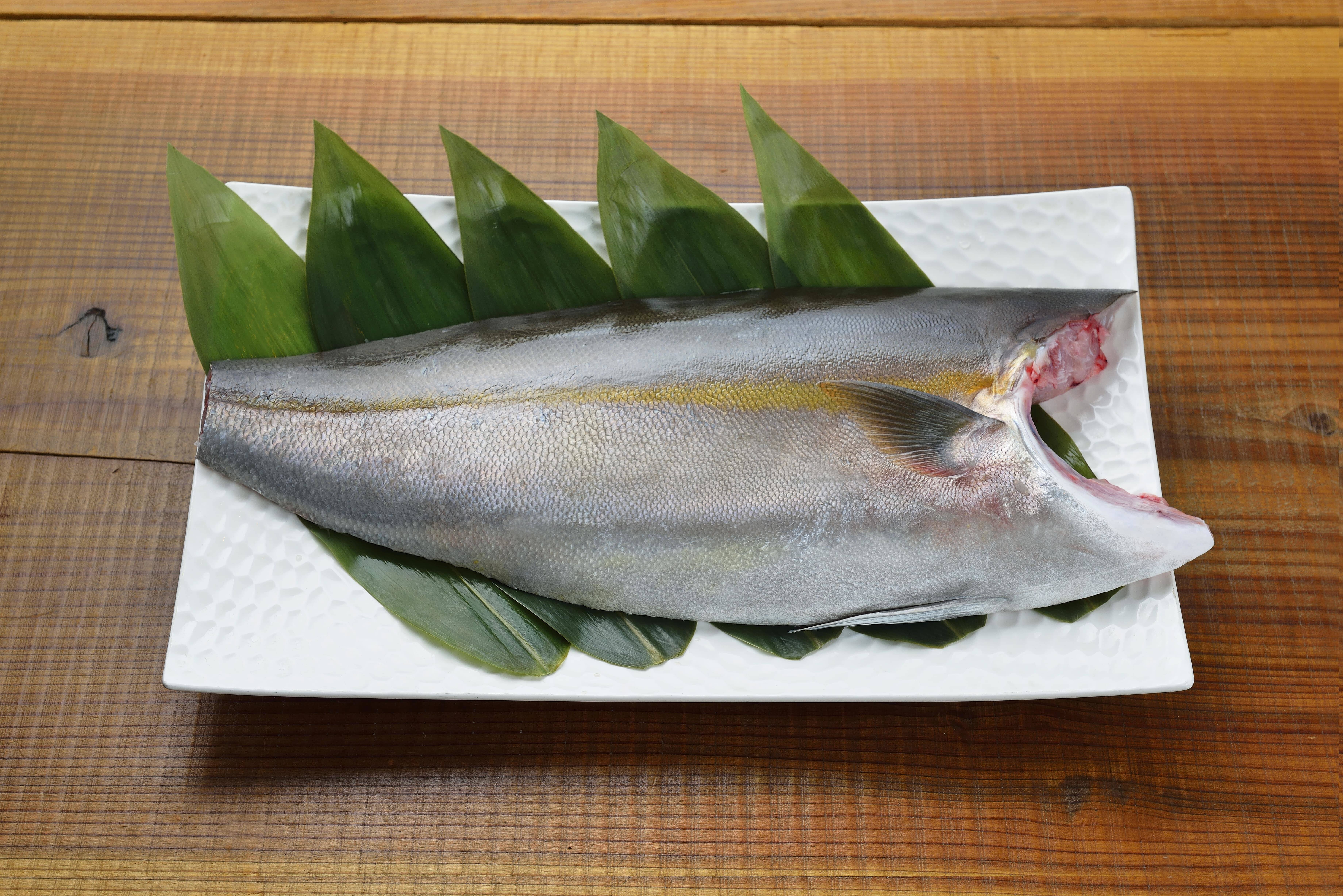 脂身が少なく女性に人気 徳島県産かんぱち フィレー1枚 徳島県産 食べチョク 農家 漁師の産直ネット通販 旬の食材を生産者直送