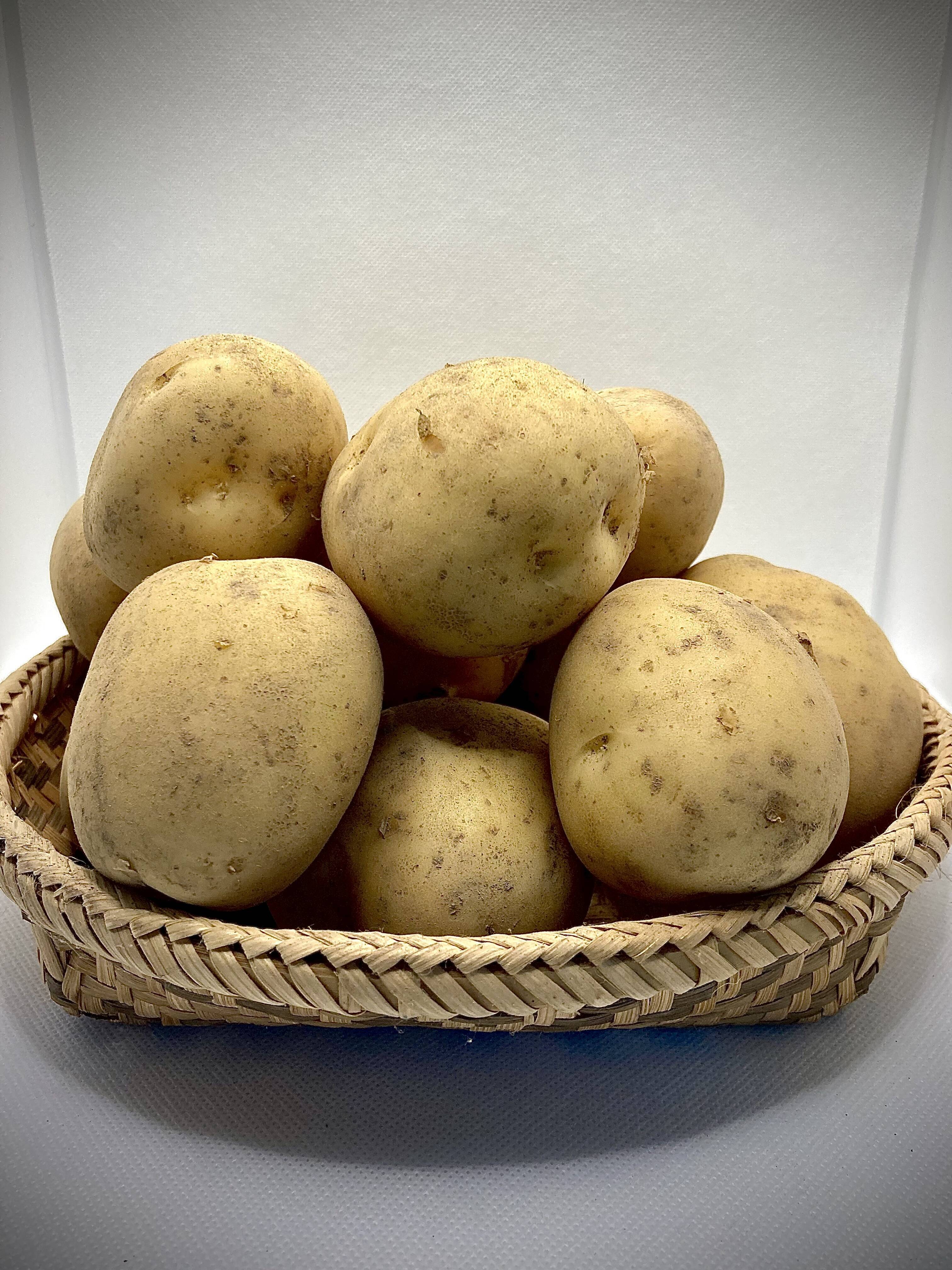 注目の新品種『アイマサリ』3kg：愛媛県産のじゃがいも｜食べチョク