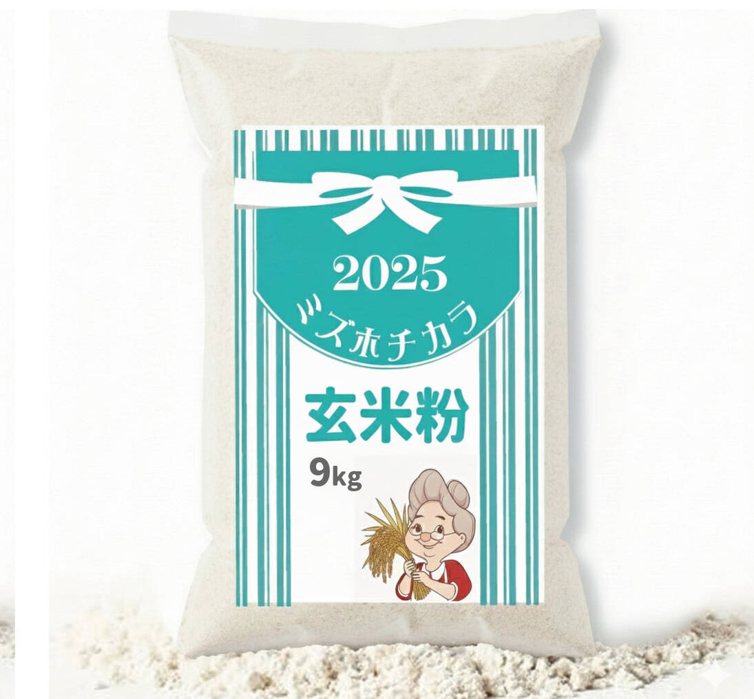 米粉 玄米粉ミズホチカラ パン用 9kg (900g x 10袋) 2025年 新米の米粉 国産
