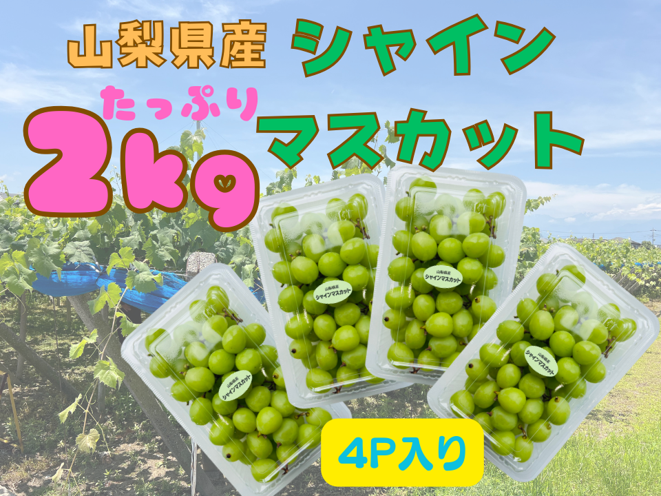 たっぷり2キロ入り♪】山梨県産シャインマスカット粒々パック【500g×4