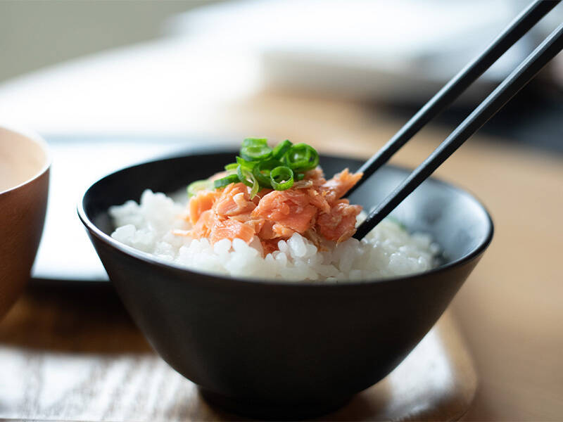 令和7年新米】【6ヶ月定期】新潟県保内産コシヒカリ 3kg：新潟県産の