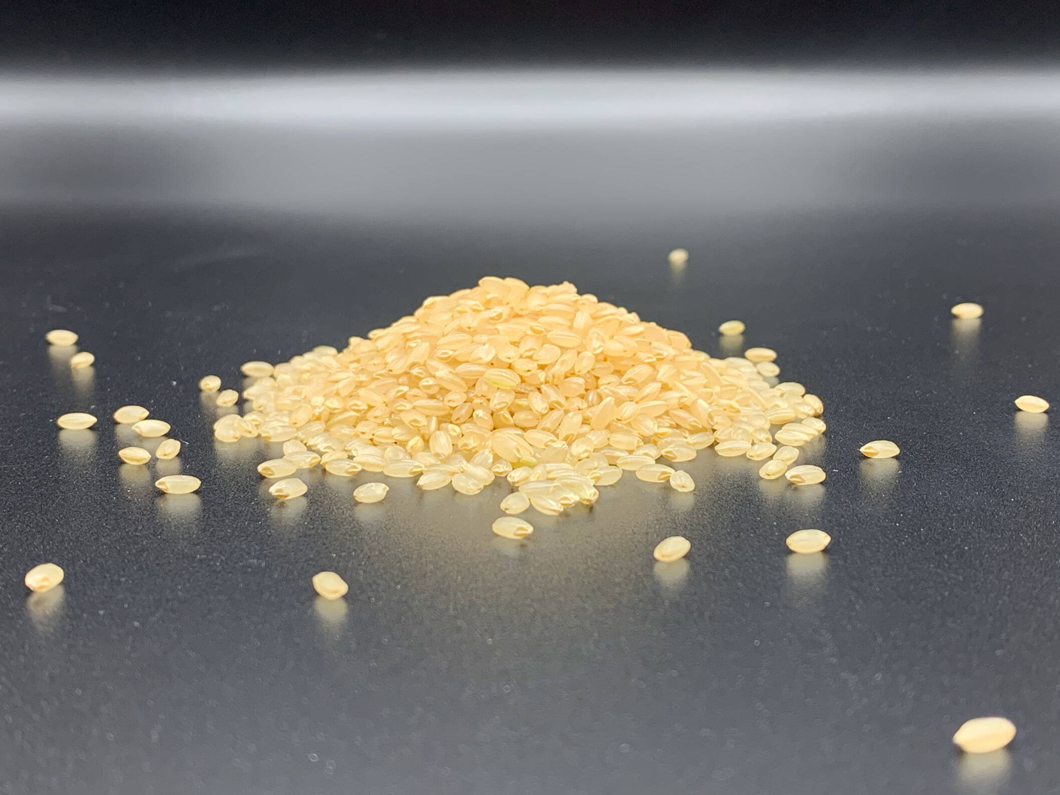 令和7年産】【コシヒカリ玄米2kg】安曇野産自家製：長野県産のお米