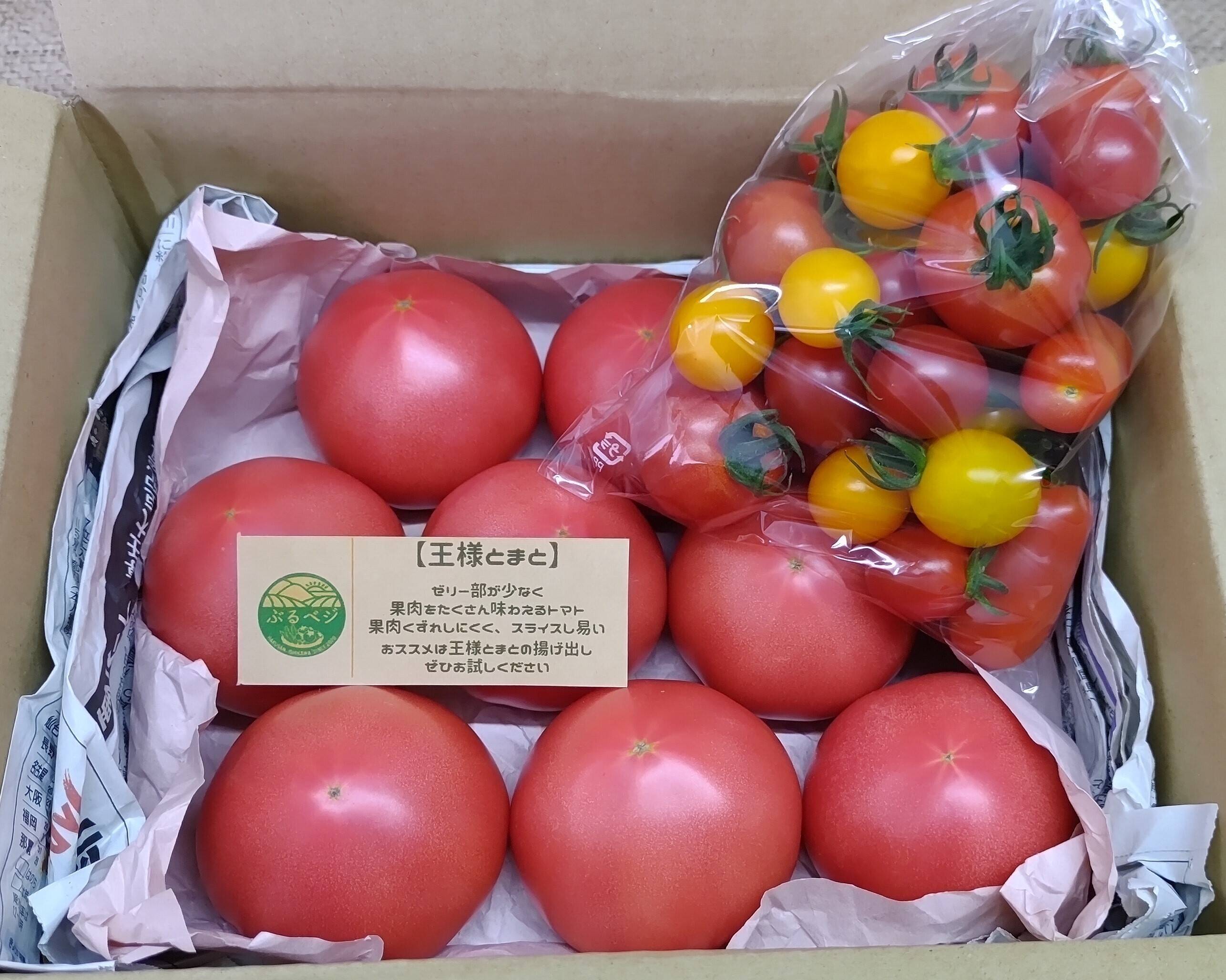 トマト　せとか一級品　15玉2箱セット トマトの宝石箱（小） – 石川農園