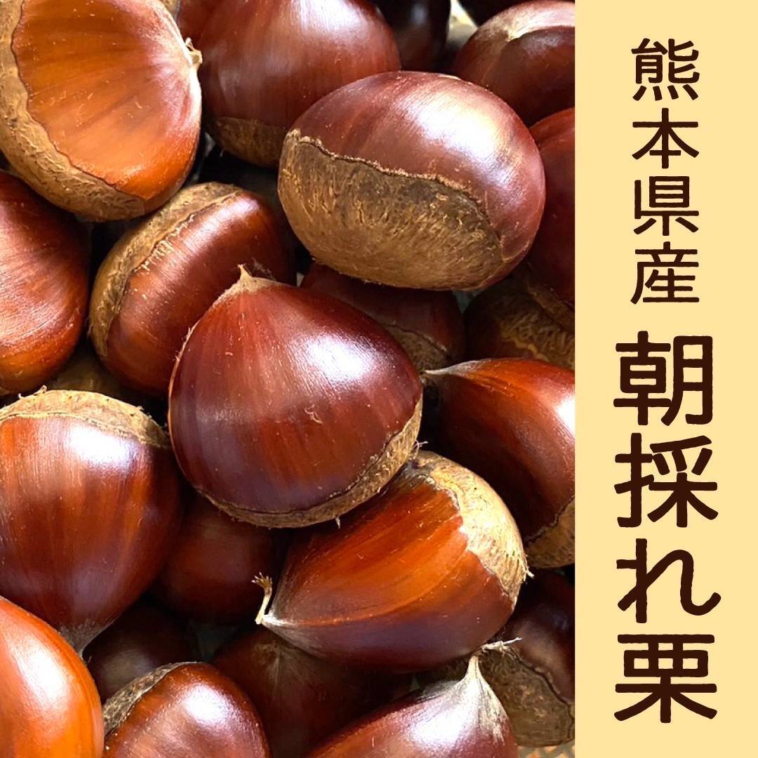 7a1aa8f33b1fc14b4c2190ad0ce52c