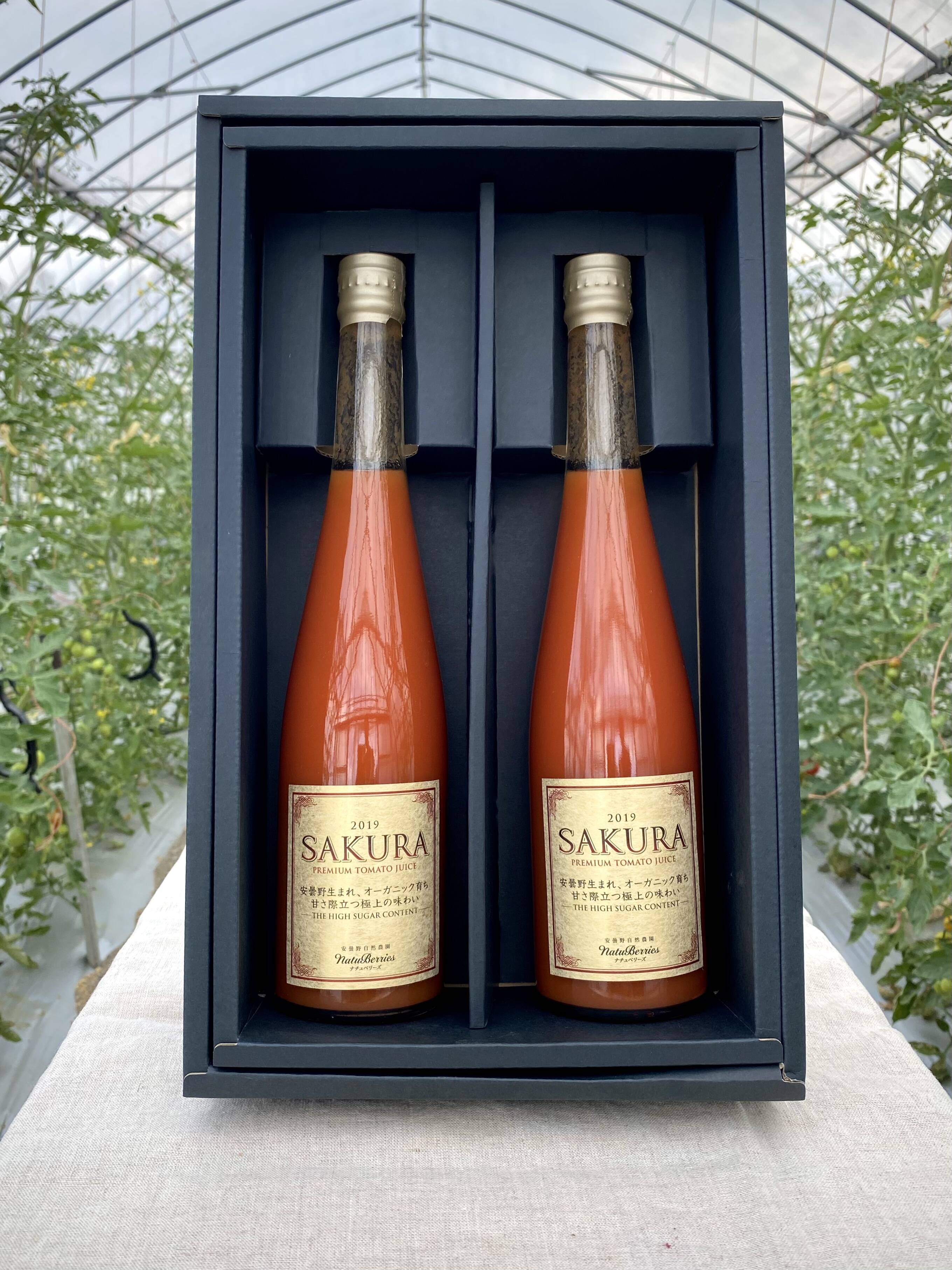 店舗用品 sakuramama 桜島産大将季（だいまさき）3L以上 大玉（15〜18玉）満杯詰め 鹿児島