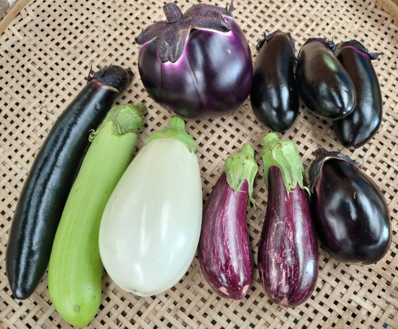 奈良からお届け～いろんなナス食べ比べセット（計10本）：奈良県産の絹