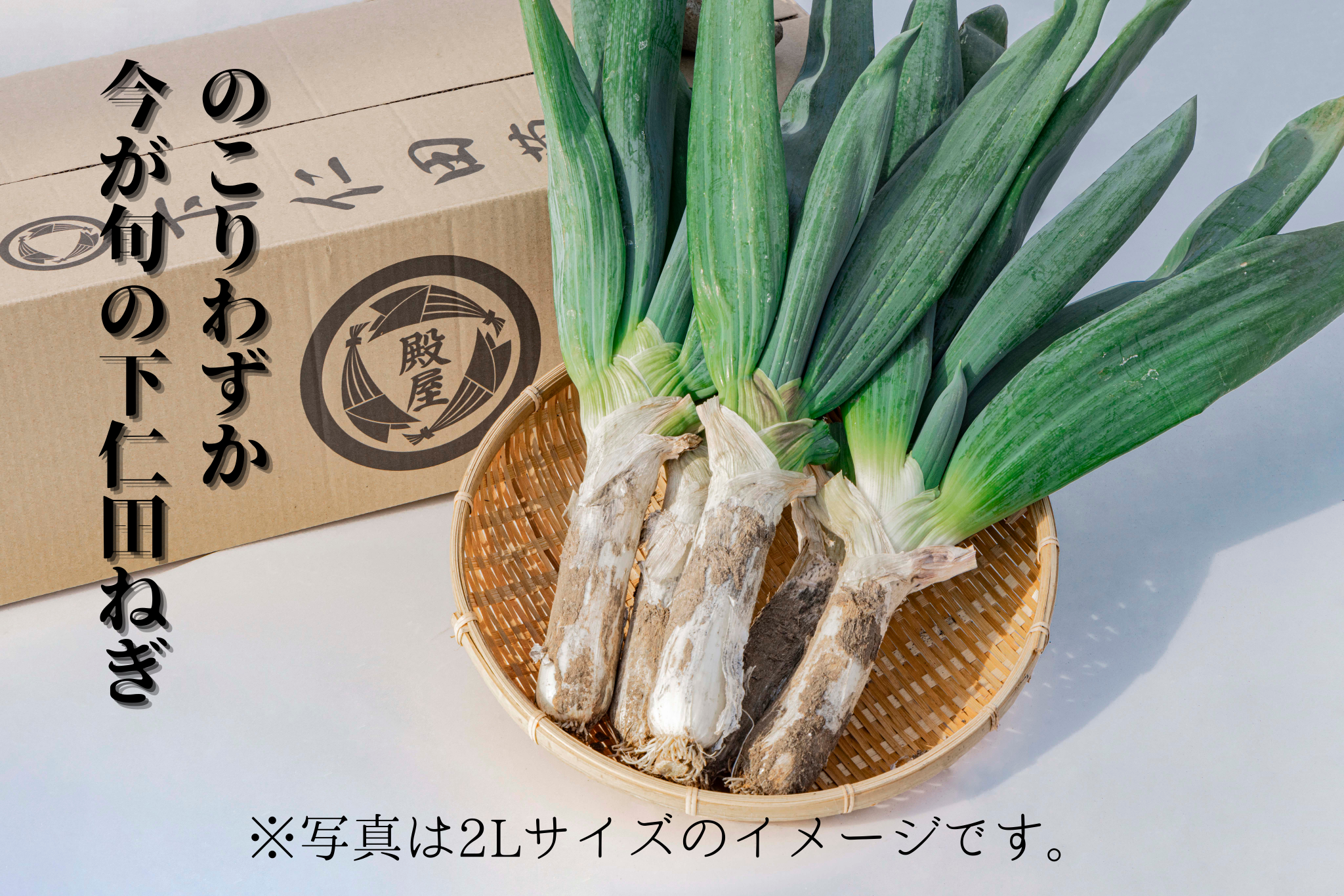 殿様も愛した「下仁田葱」訳アリ24本：群馬県産の下仁田ねぎ｜食べ