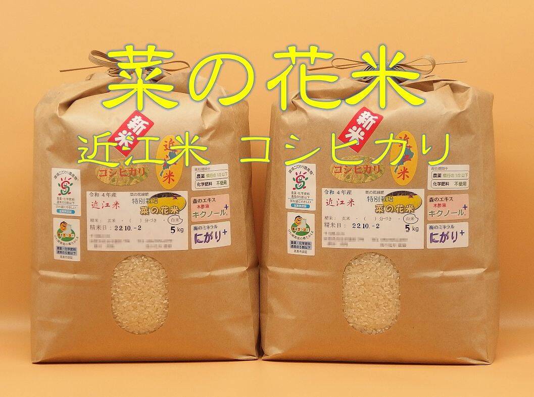 値下げ可能 病気にならないのが不思議！ 玄米10kg ４年産コシヒカリ 特