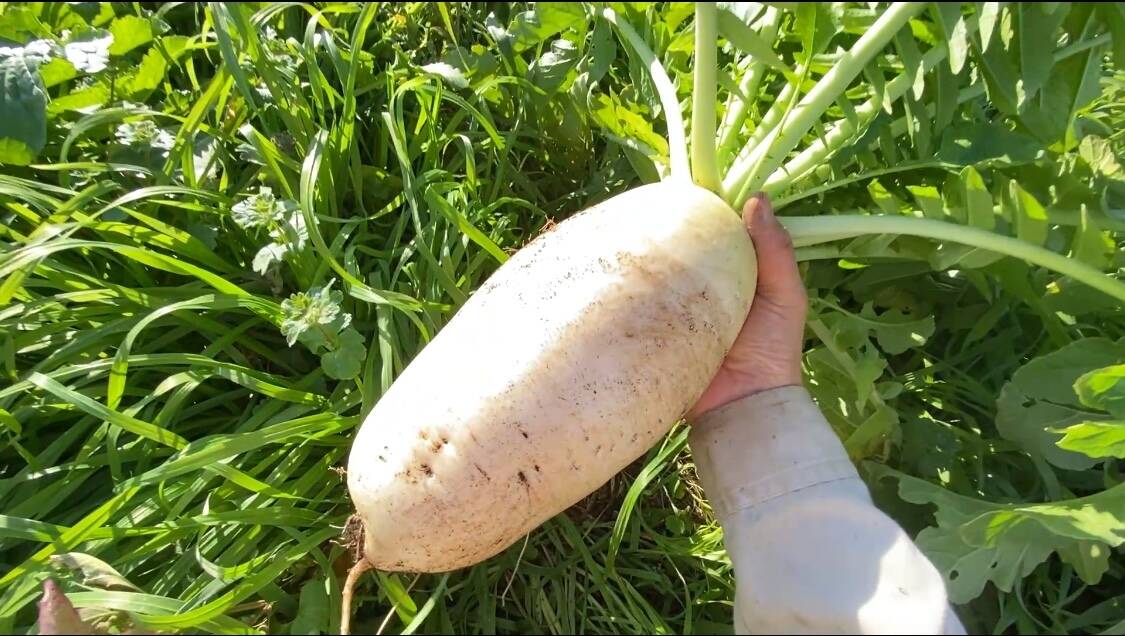 7a97ab2a96f1b75eced8d4efb8f503