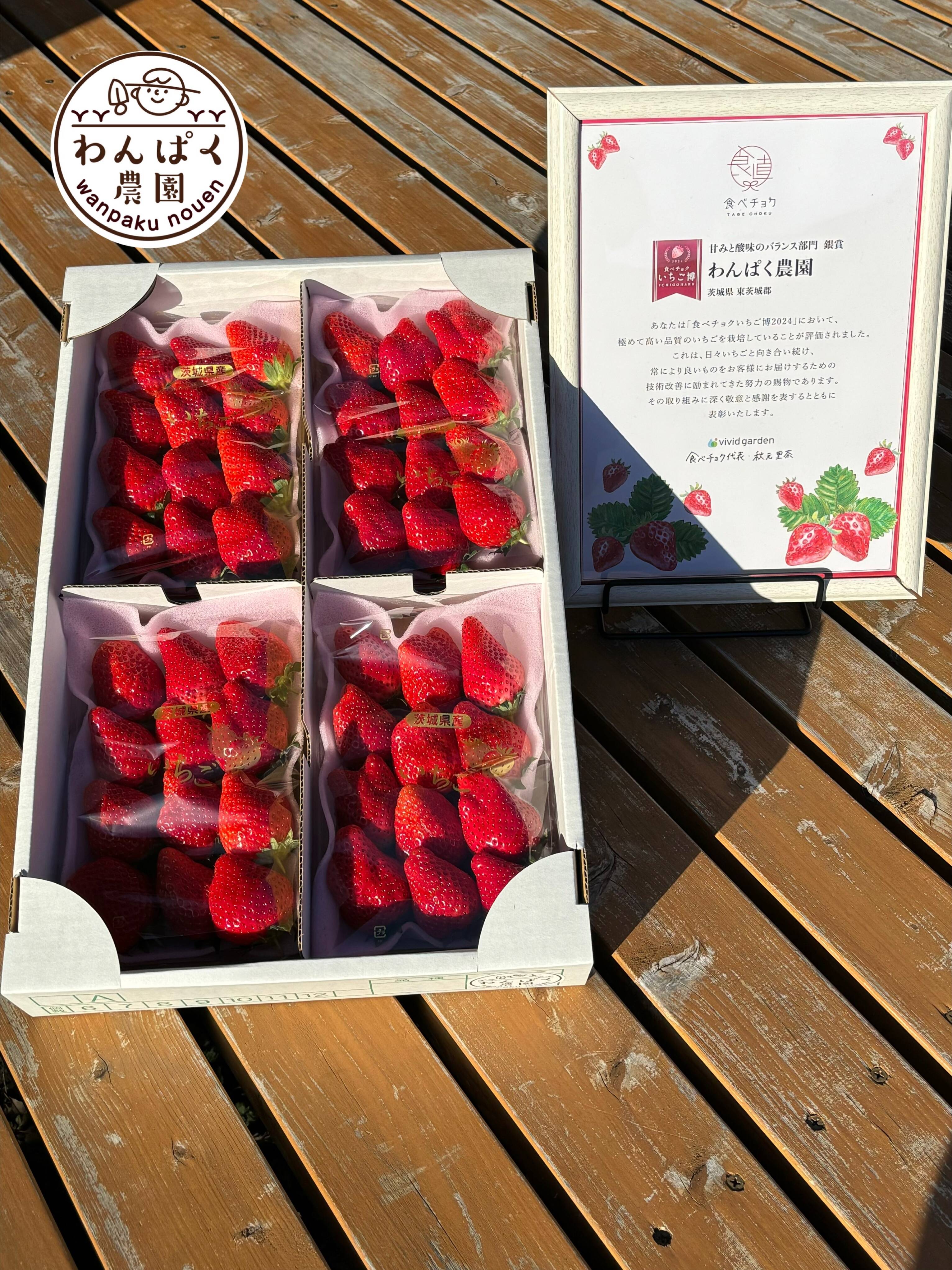2024いちご博銀賞受賞