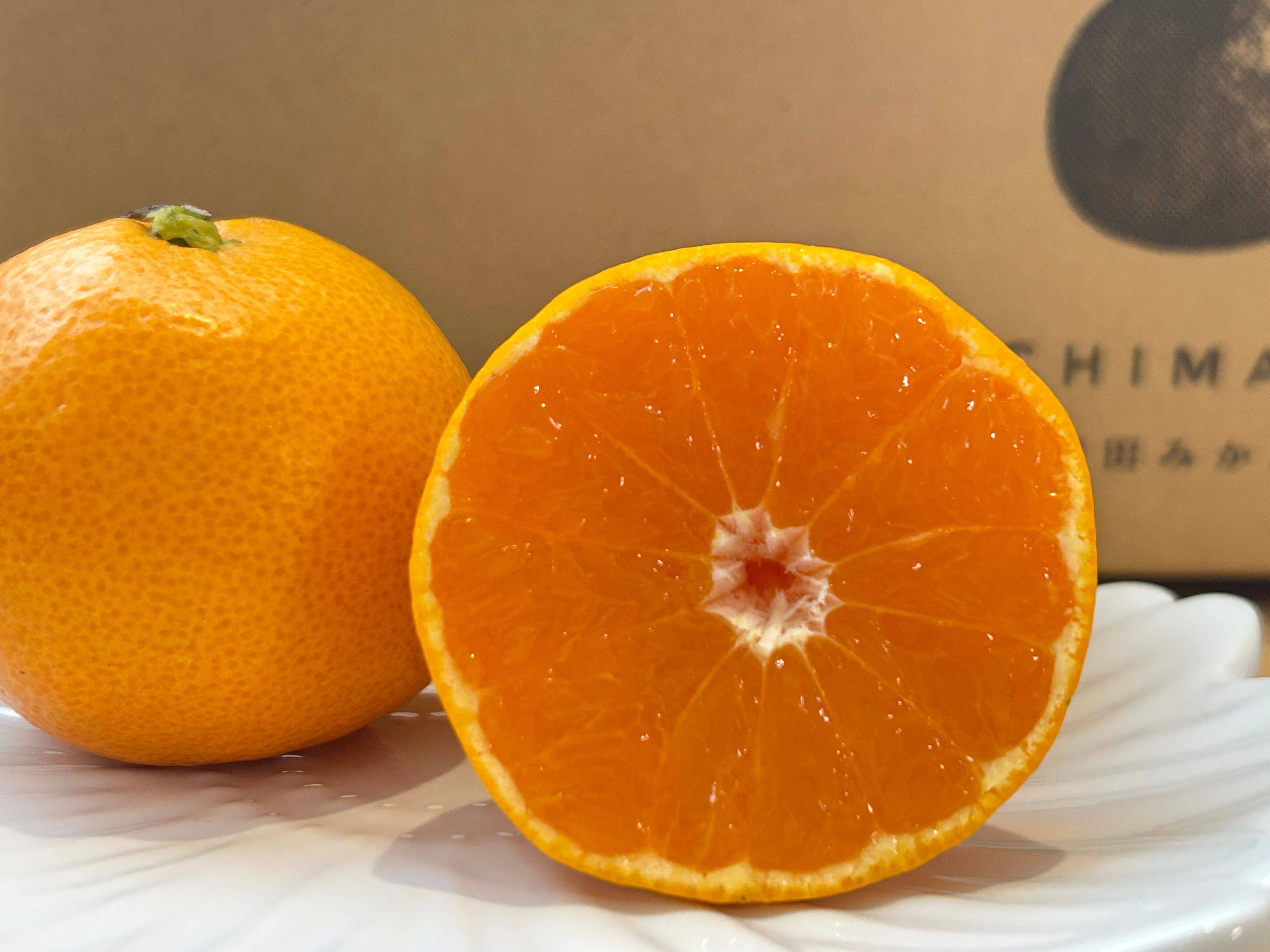 ゆら早生】箱込み3キロ Mサイズ ギフトにも！ 有田みかん 極早生 低