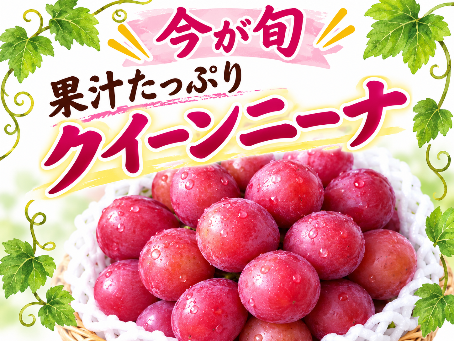 ✨️🌿今が旬 クイーンニーナ🌿✨️ 【2房入/約1㎏程度】：茨城県産の