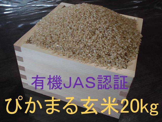 麻衣　にこまる20㌔ 和歌山県産にこまる/玄米/20kg(10kg×2袋）/令和6年産 | 有限会社