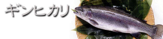 🍴 Eat choku ｜ [Limited quantity] It's not rice!It's a fish!Gunma brand Trout Ginhikari! (1km) …