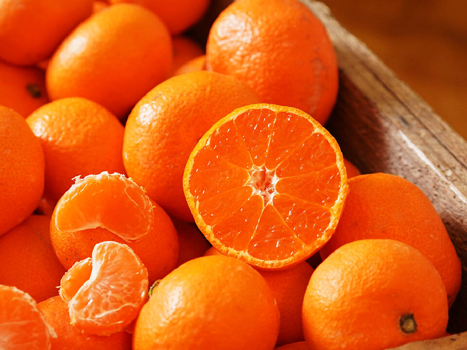 蔵出しみかん早生5kg｜和歌山県海南市下津町の特産品、蔵出しみかんの