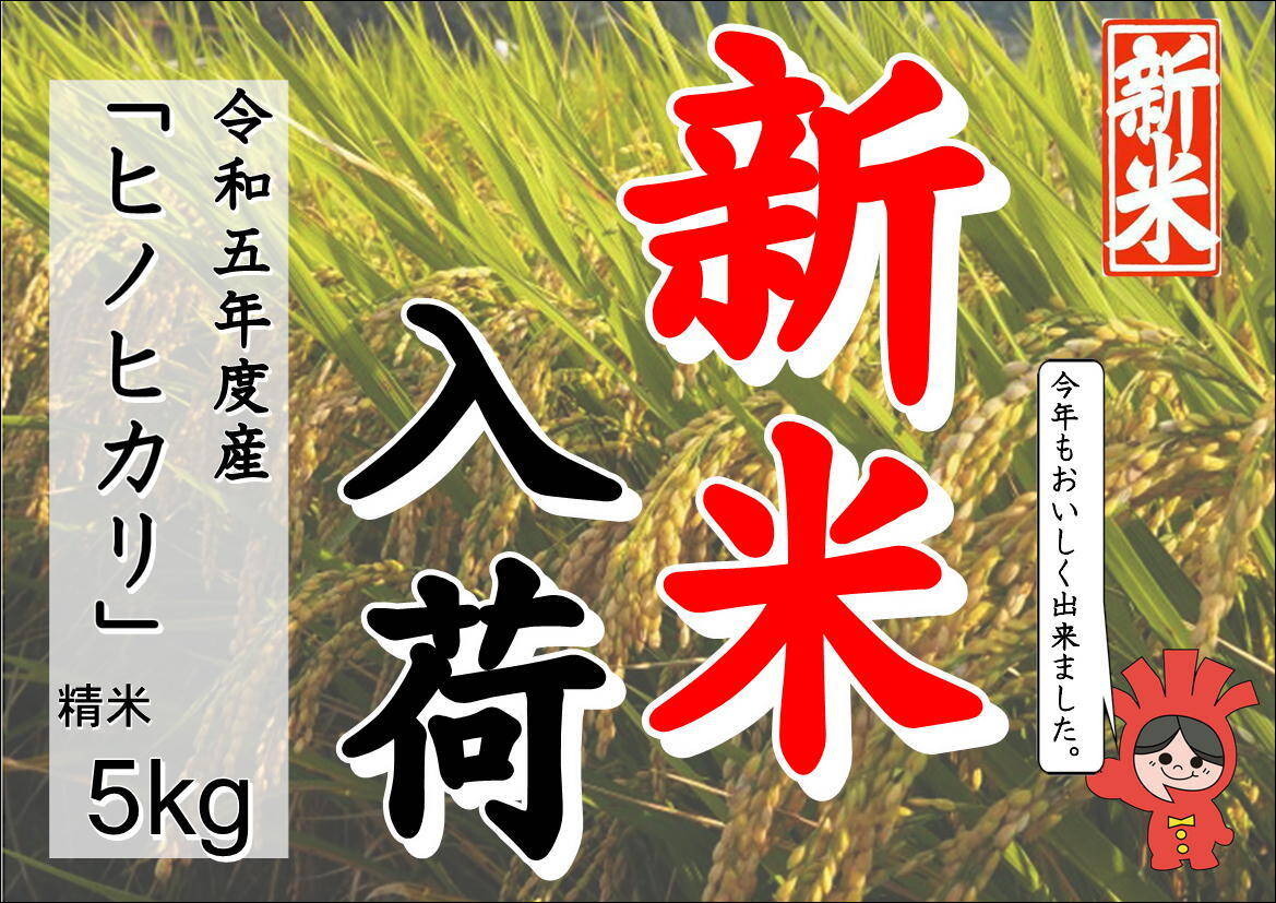 新米！冷めても美味しい！令和5年産「ヒノヒカリ」5㎏(精米５㎏×1袋