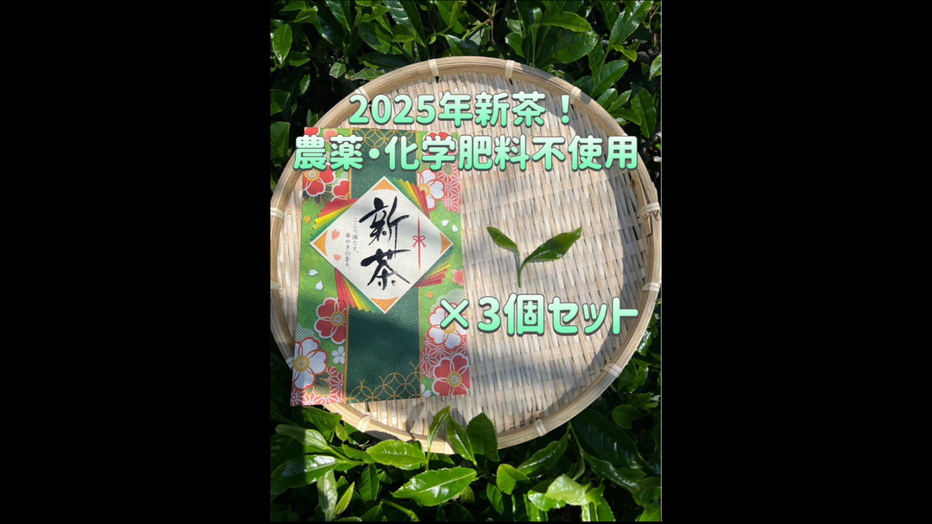 【無農薬】緑茶堪能セット　抹茶20g・煎茶40g・かぶせ茶40g・春番茶100g 無農薬】緑茶堪能セット 抹茶20g・煎茶40g・かぶせ茶40g・春番茶100g