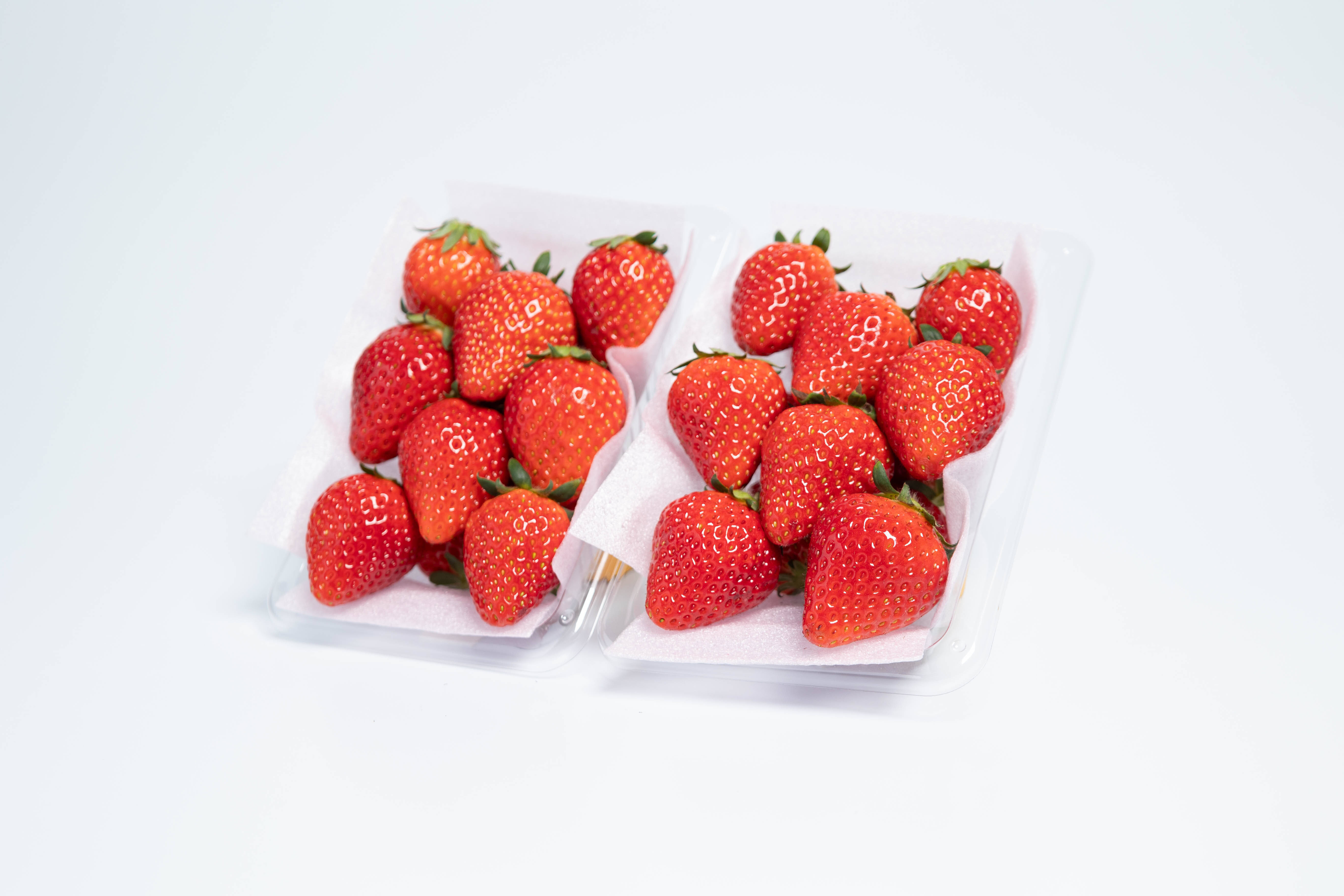 とちおとめ」＆「とちあいか」食べ比べセット 260g×2パック