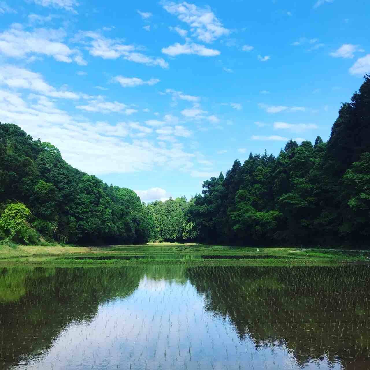 たこまいらいふ萩原農場へのレビュー・商品:千葉県|食べチョク|産地直送(産直)お取り寄せ通販 農家・漁師から旬の食材を直送