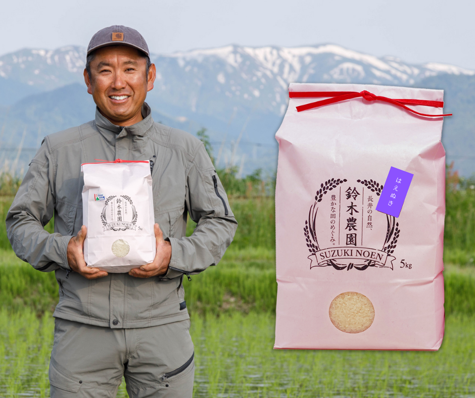 山形の王道米】『はえぬき5kg』【令和7年産米】：山形県産のはえぬき