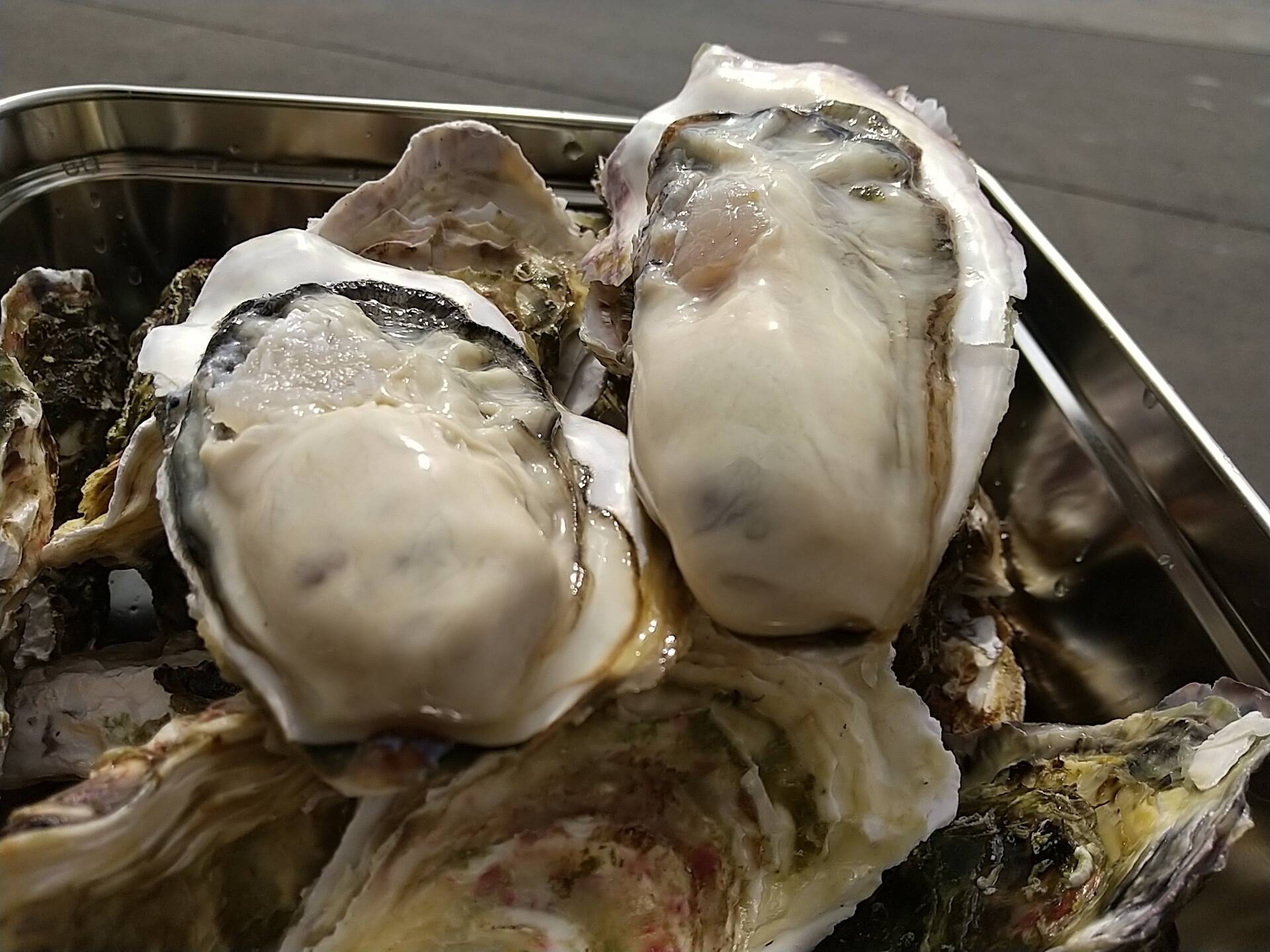 あっさりサッパリ 北海道のキレイな海で育った真牡蠣40個 殻付き 生食可 ナイフ付 北海道産 食べチョク 農家 漁師の産直ネット通販 旬の食材を生産者直送