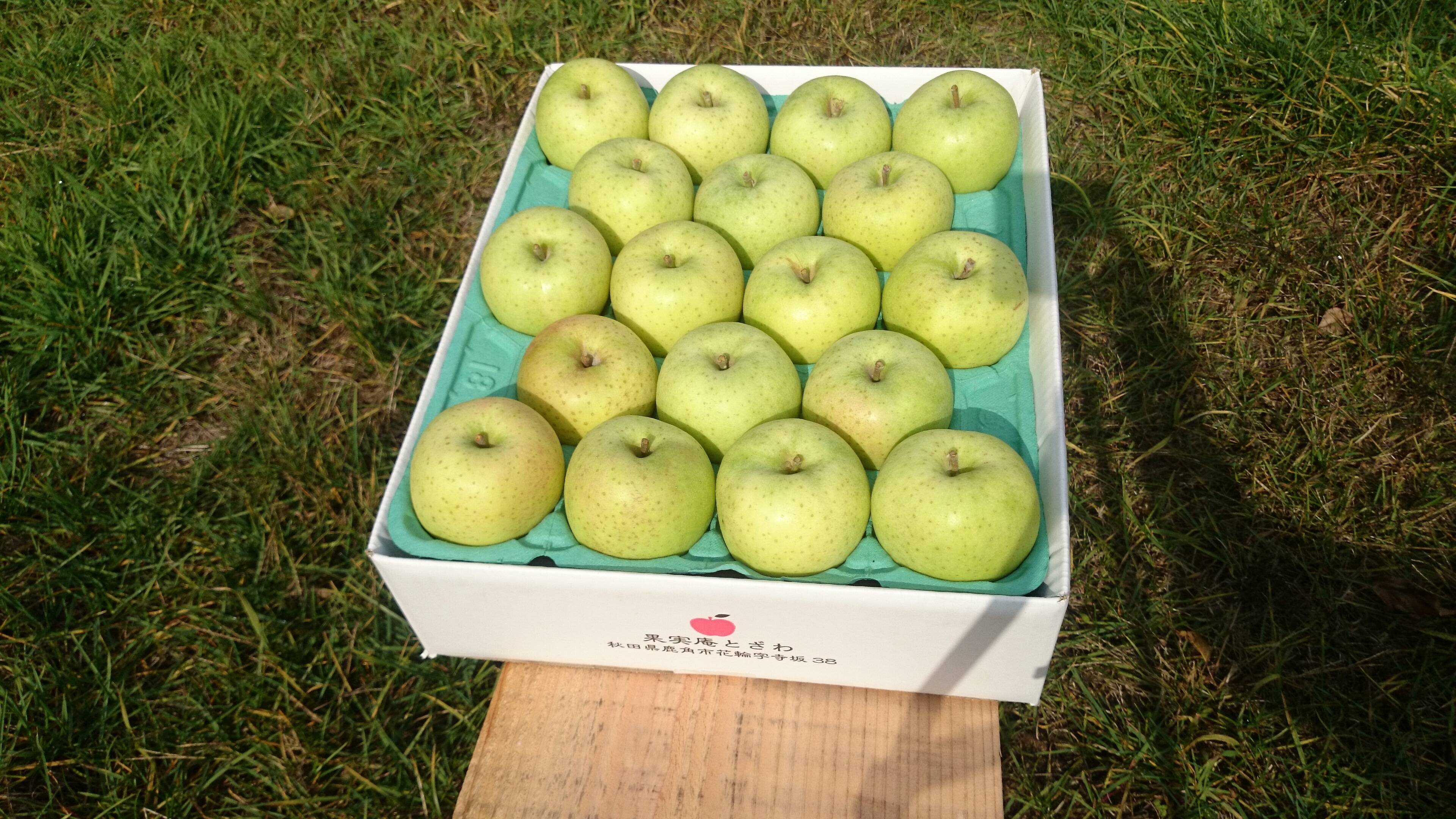 オーガニックりんご 王林5キロ 有機jas認証 秋田県産 食べチョク 農家 漁師の産直ネット通販 旬の食材を生産者直送