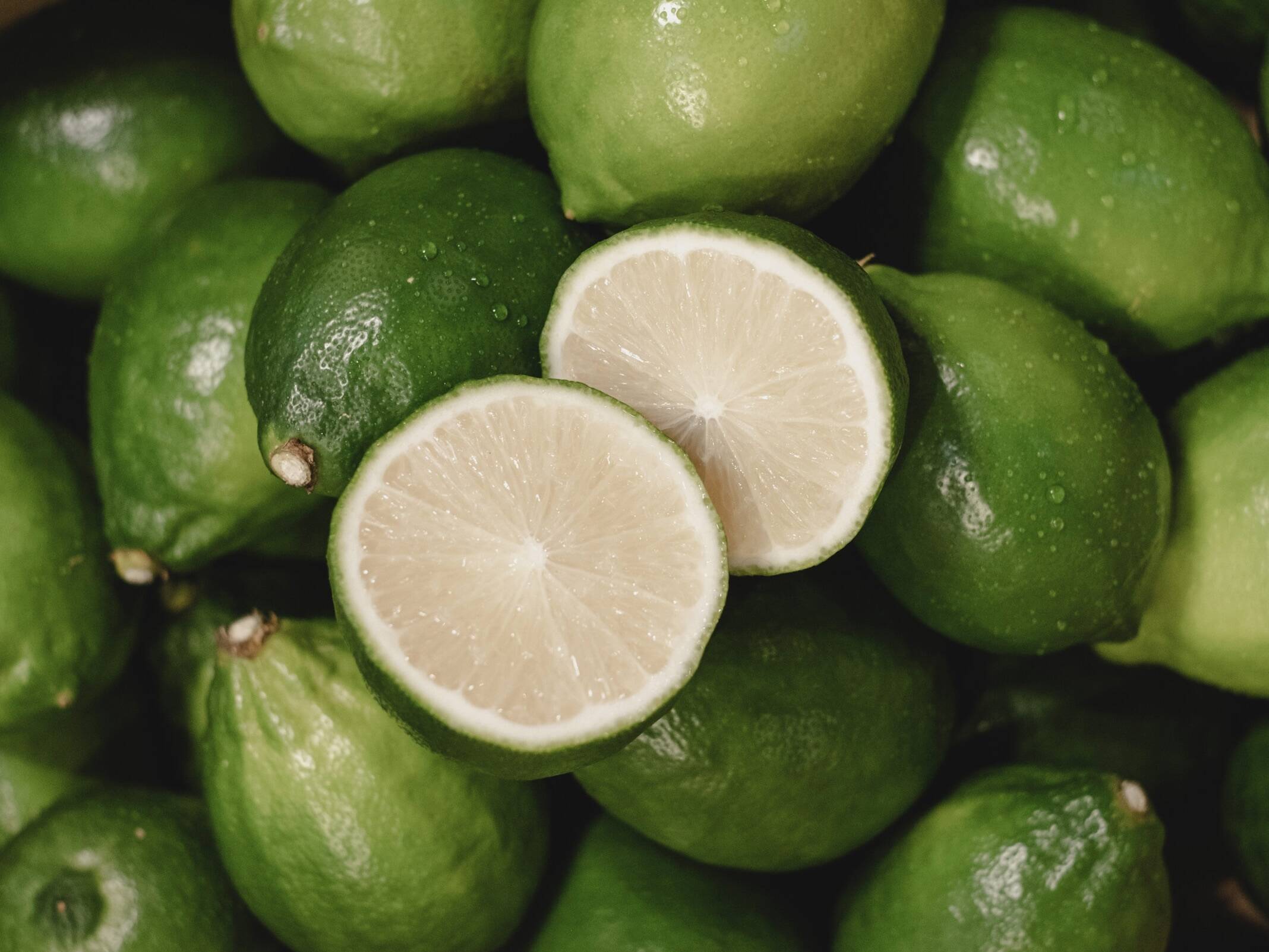 7c16e42de4c612f0e7a00162202175